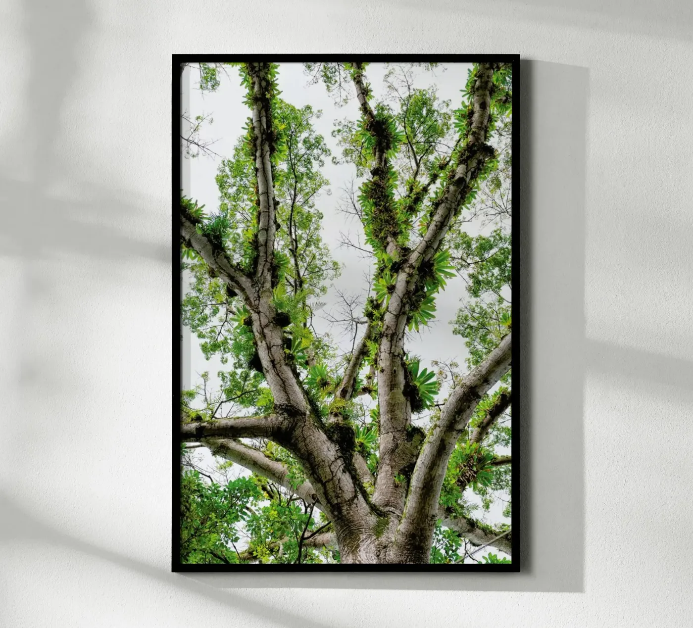 Jungle Tree poster by Curious Collections by Marielle Leenders