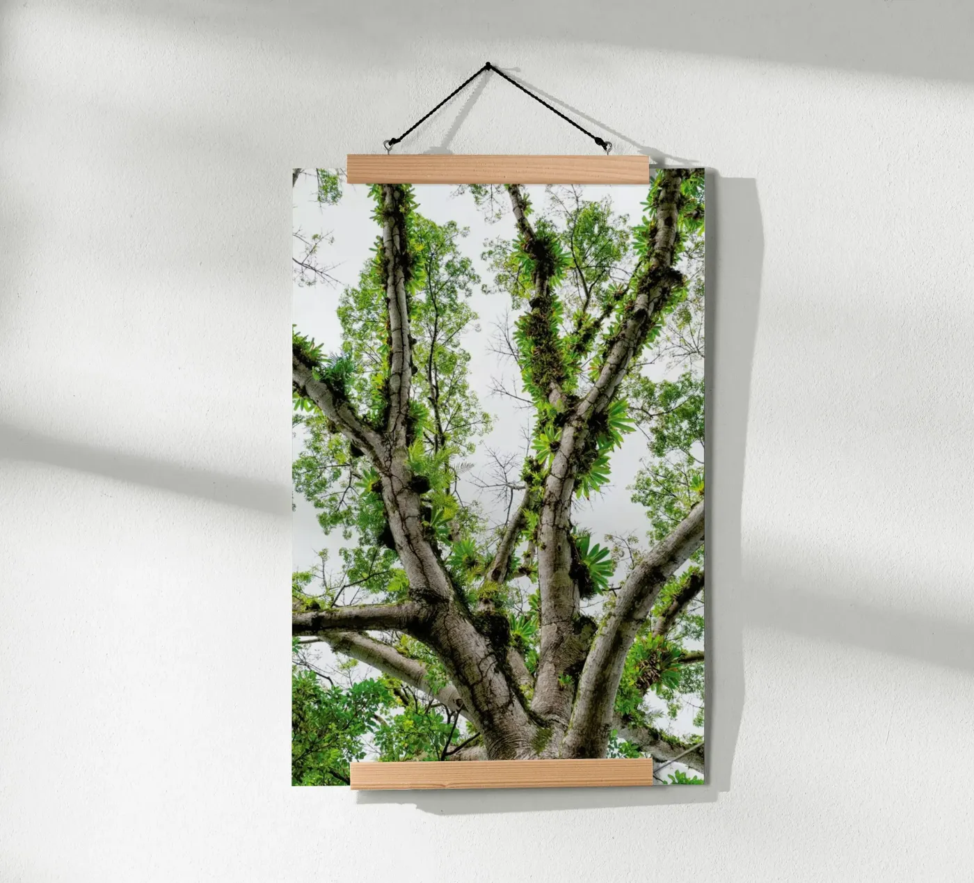 Jungle Tree poster by Curious Collections by Marielle Leenders