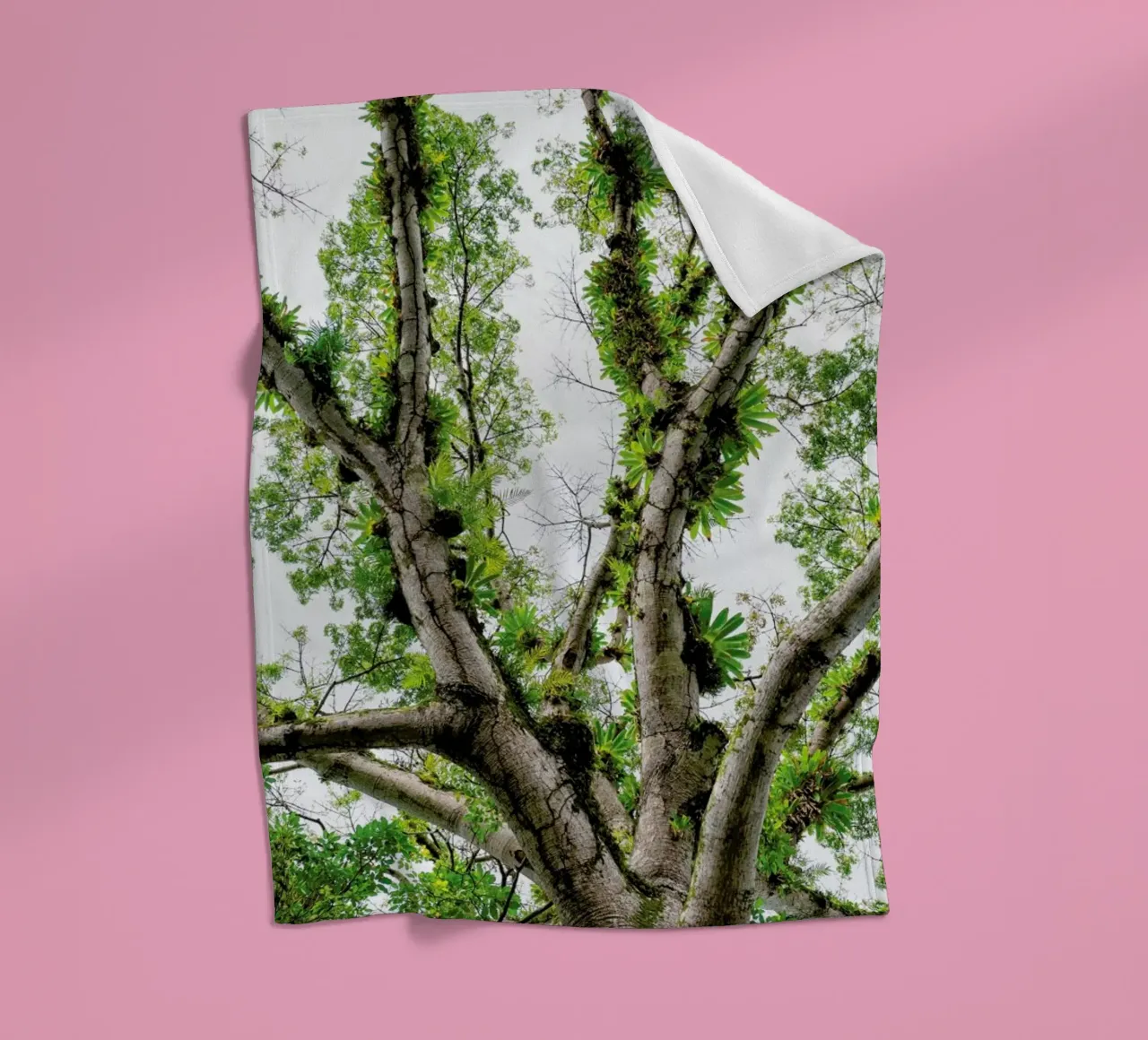 Jungle Tree coperta in pile da Curious Collections by Marielle Leenders
