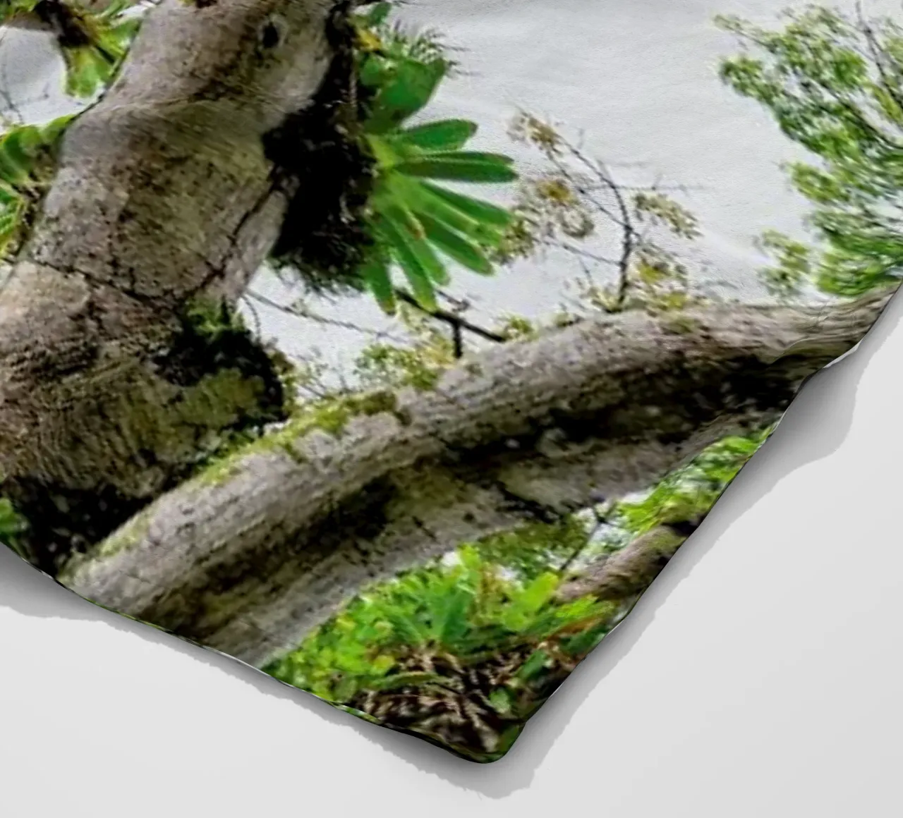 Jungle Tree coperta in pile da Curious Collections by Marielle Leenders