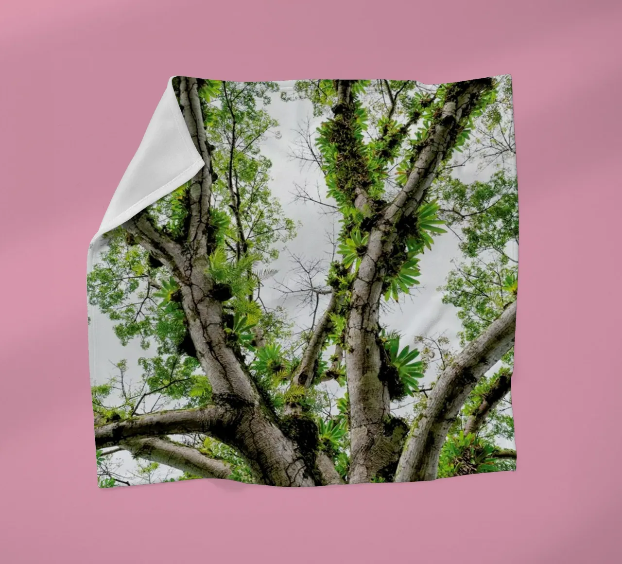 Jungle Tree coperta in pile da Curious Collections by Marielle Leenders