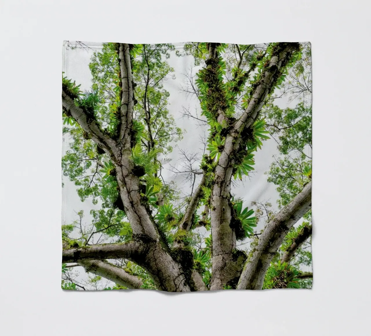Jungle Tree coperta in pile da Curious Collections by Marielle Leenders