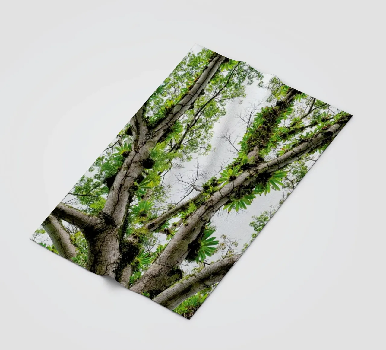 Jungle Tree coperta in pile da Curious Collections by Marielle Leenders