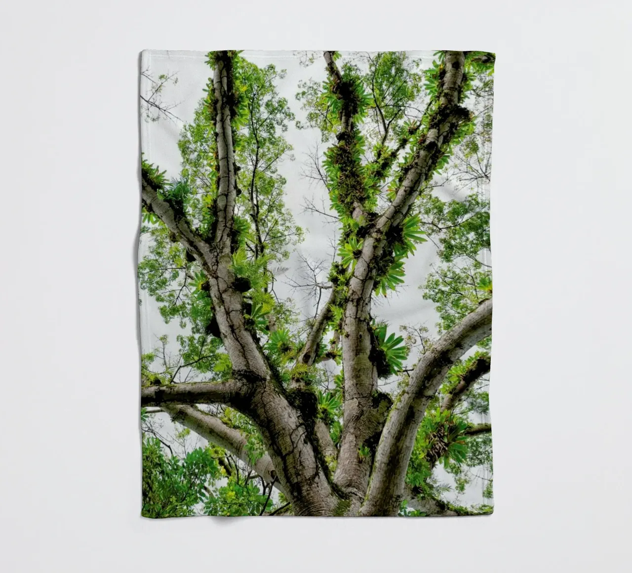 Jungle Tree coperta in pile da Curious Collections by Marielle Leenders