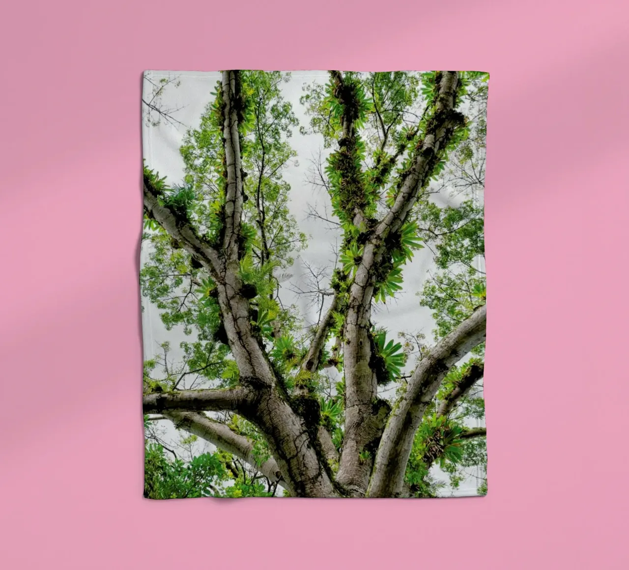 Jungle Tree coperta in pile da Curious Collections by Marielle Leenders