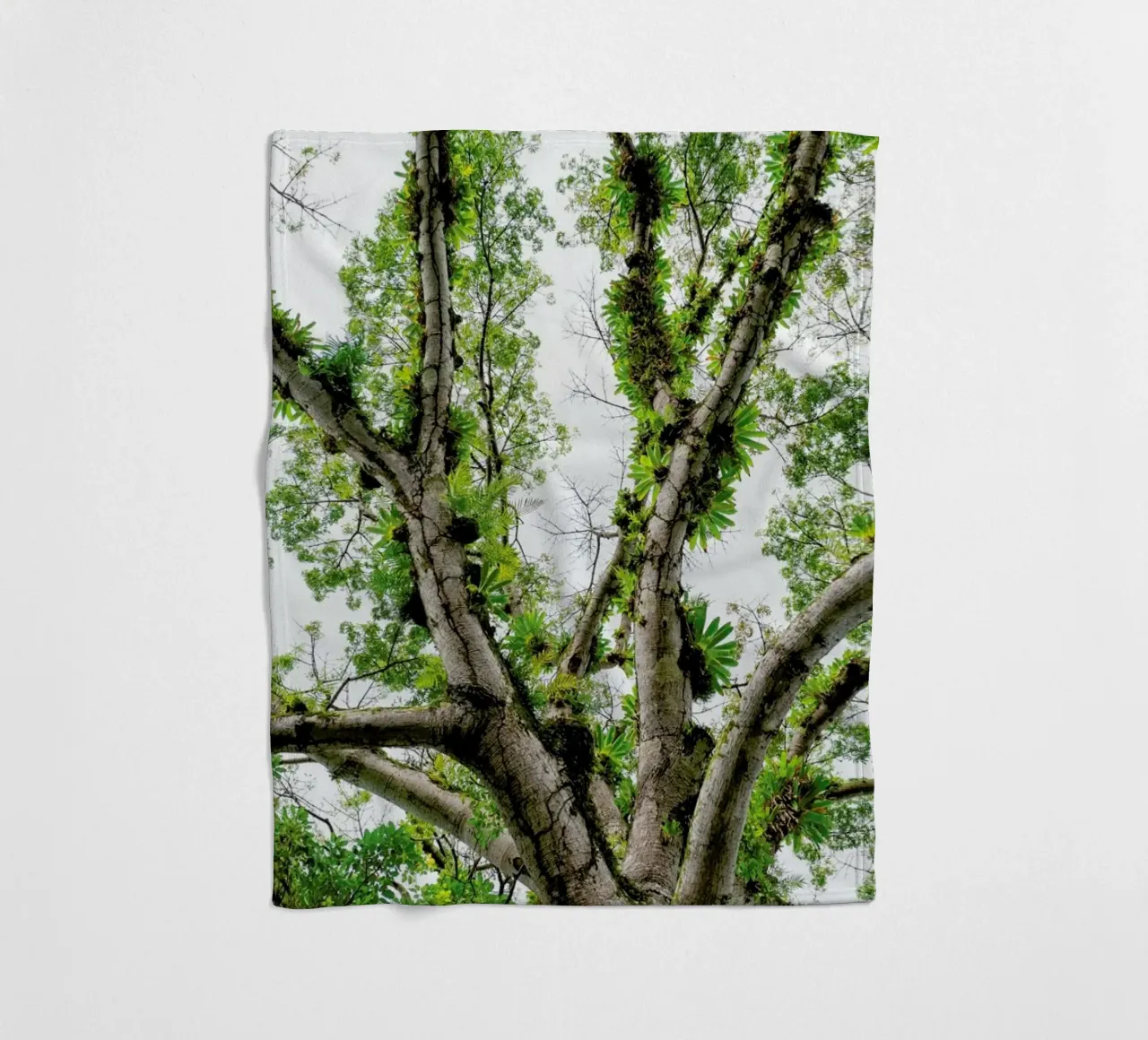 Jungle Tree coperta in pile da Curious Collections by Marielle Leenders