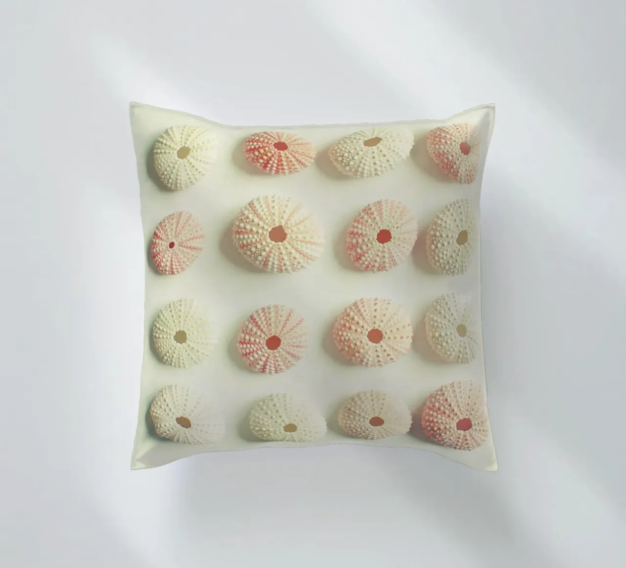 Collezione di ricci di mare cuscino da Cassia Beck Photography
