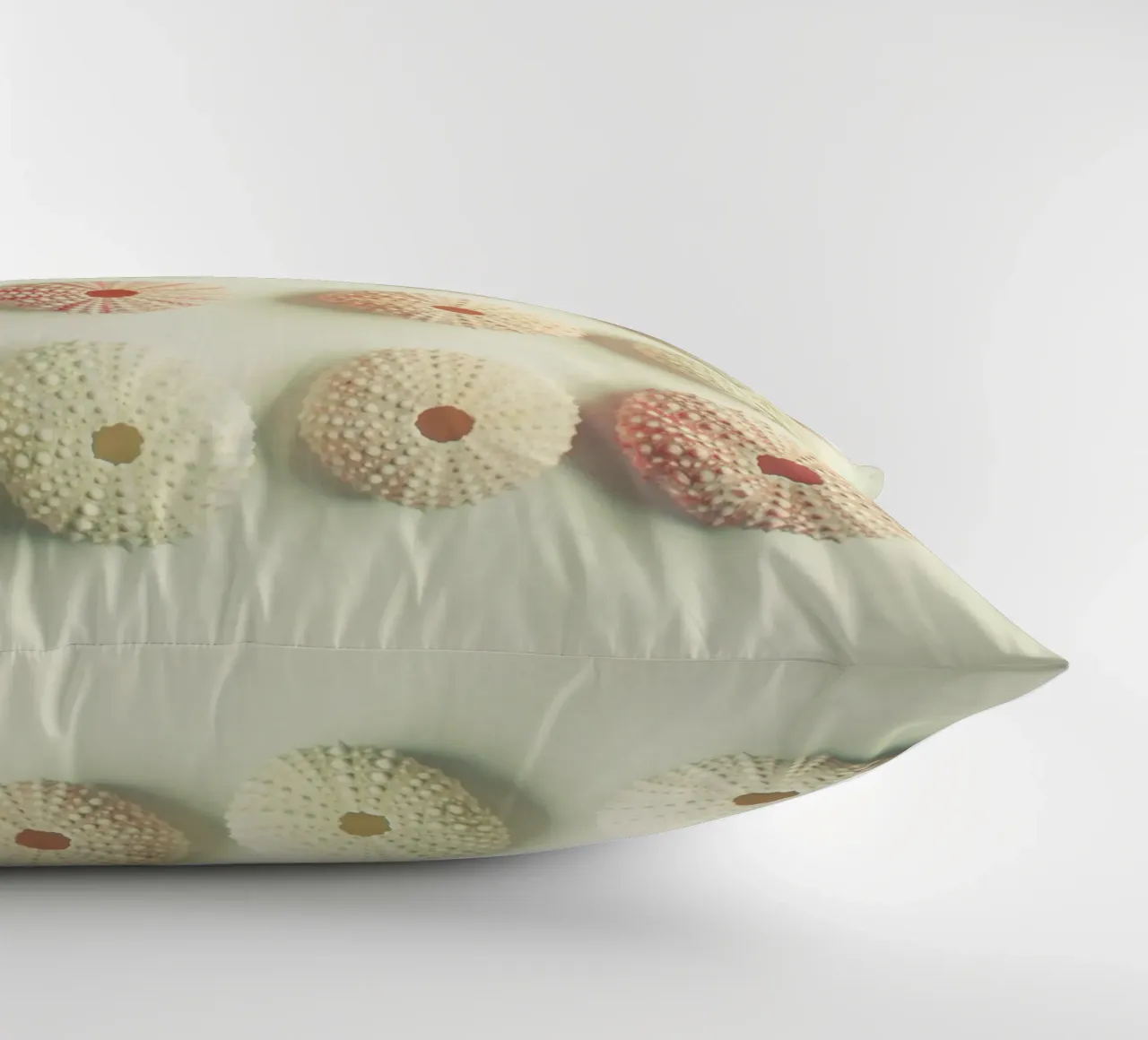 Collezione di ricci di mare cuscino da Cassia Beck Photography