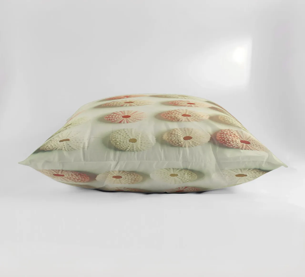 Collezione di ricci di mare cuscino da Cassia Beck Photography