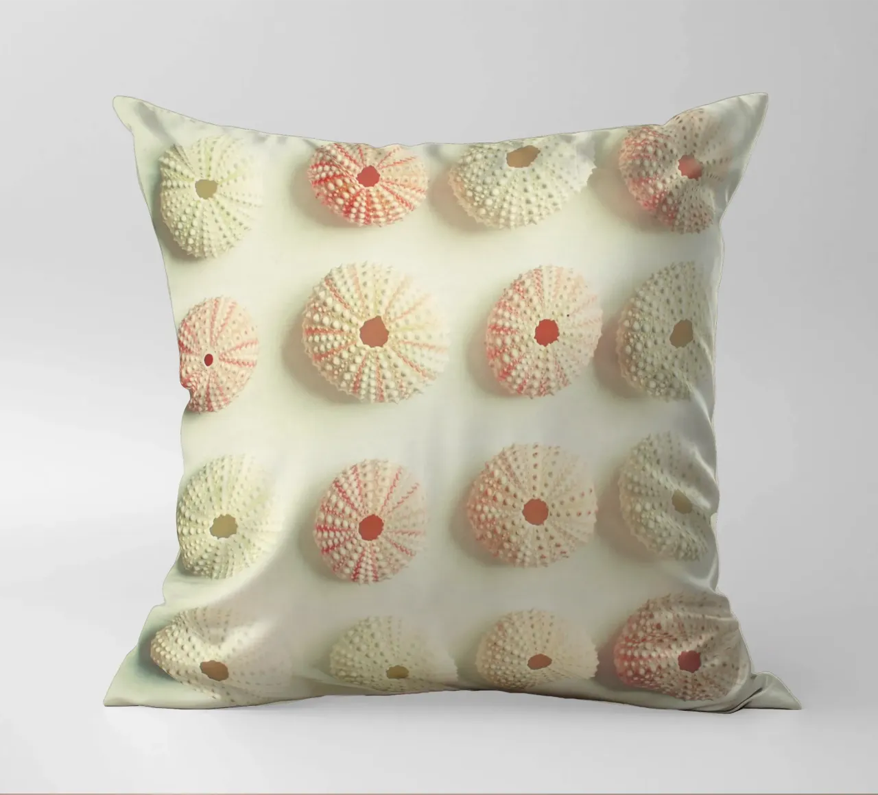 Collezione di ricci di mare cuscino da Cassia Beck Photography