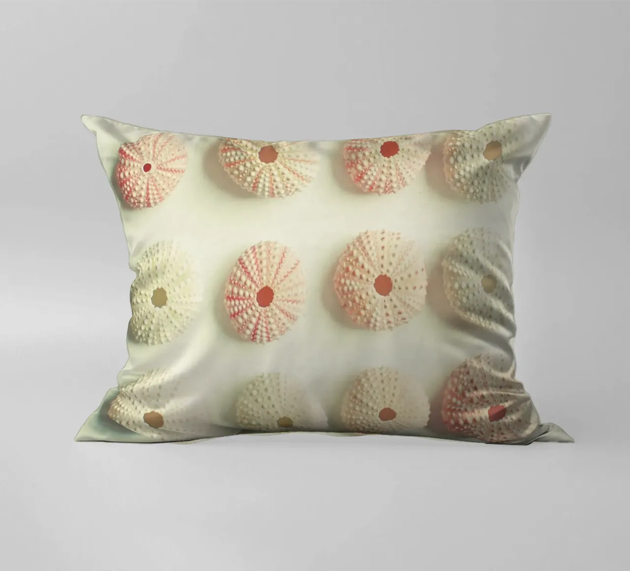 Collezione di ricci di mare cuscino da Cassia Beck Photography