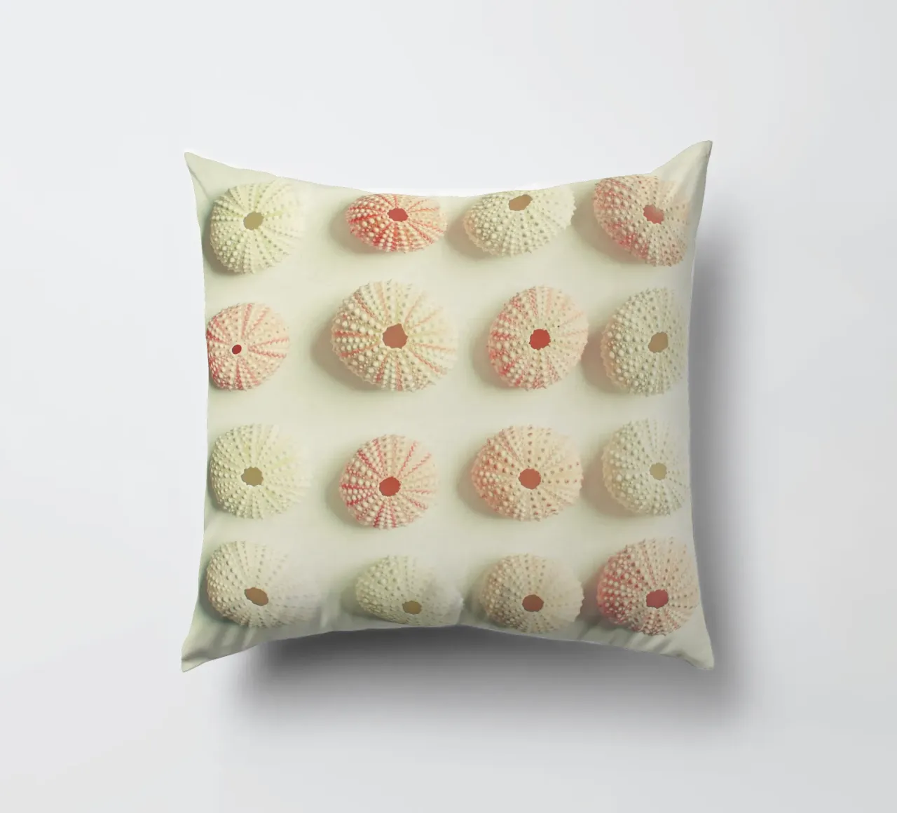 Collezione di ricci di mare cuscino da Cassia Beck Photography
