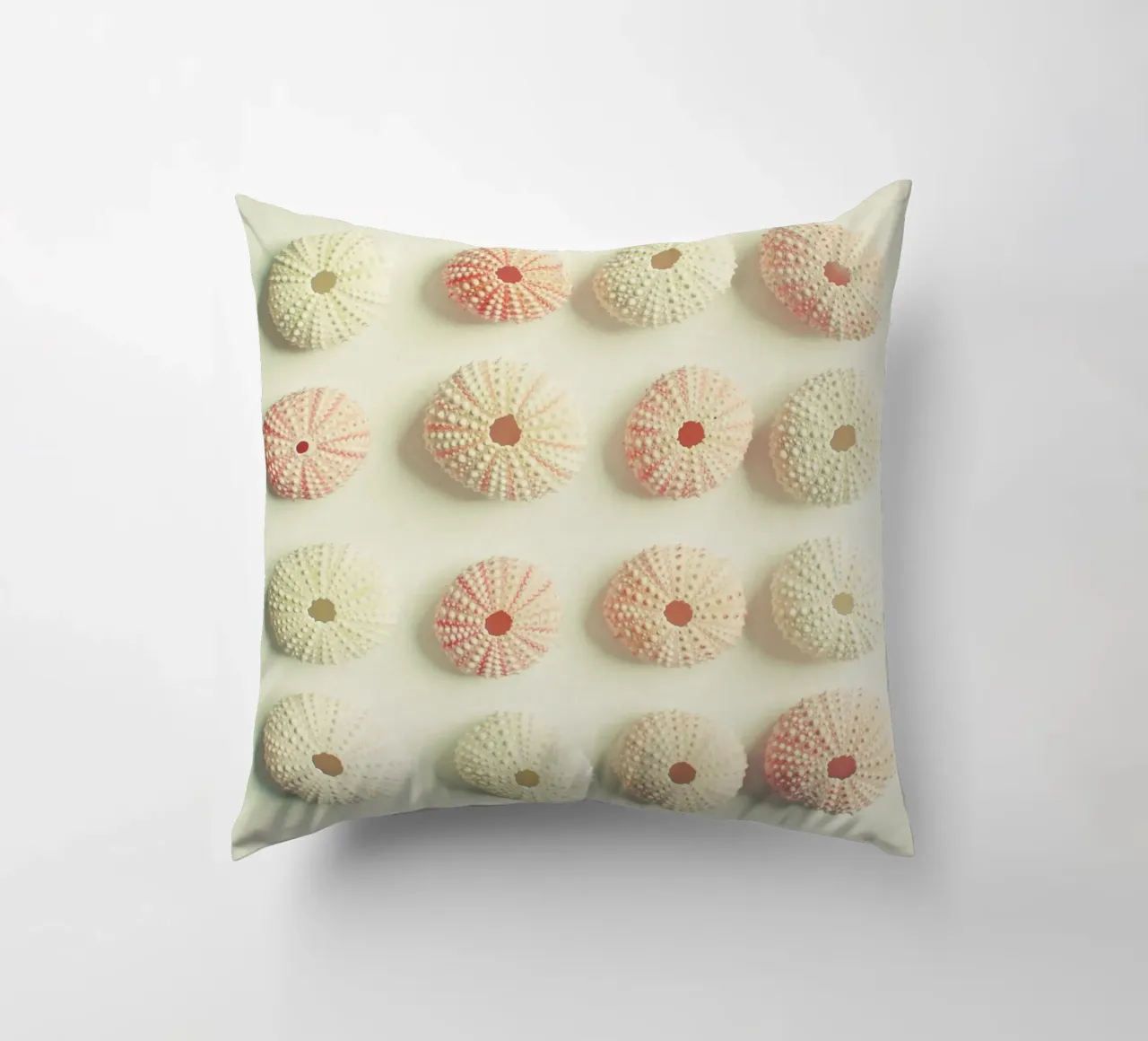 Collezione di ricci di mare cuscino da Cassia Beck Photography