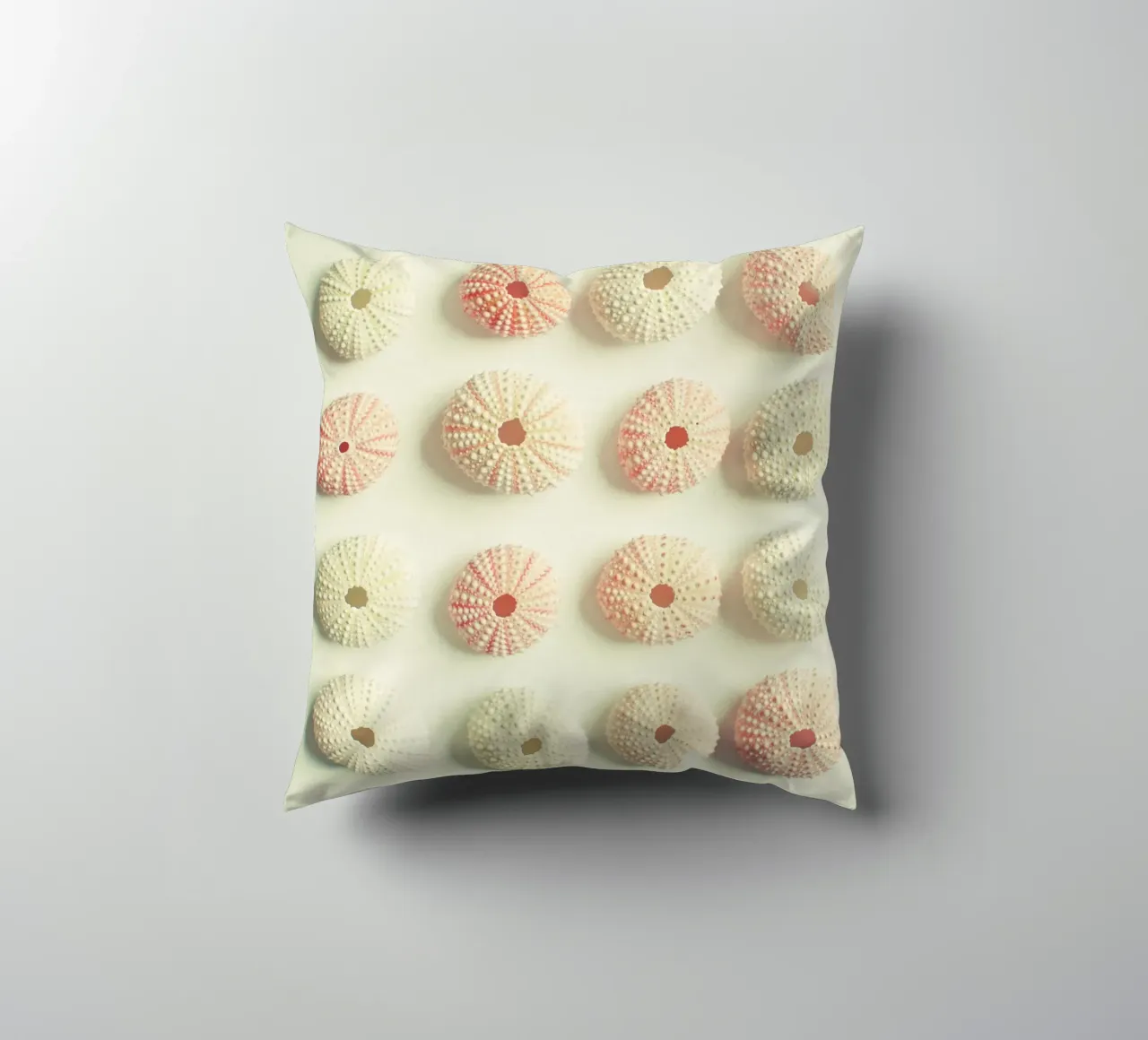 Collezione di ricci di mare cuscino da Cassia Beck Photography