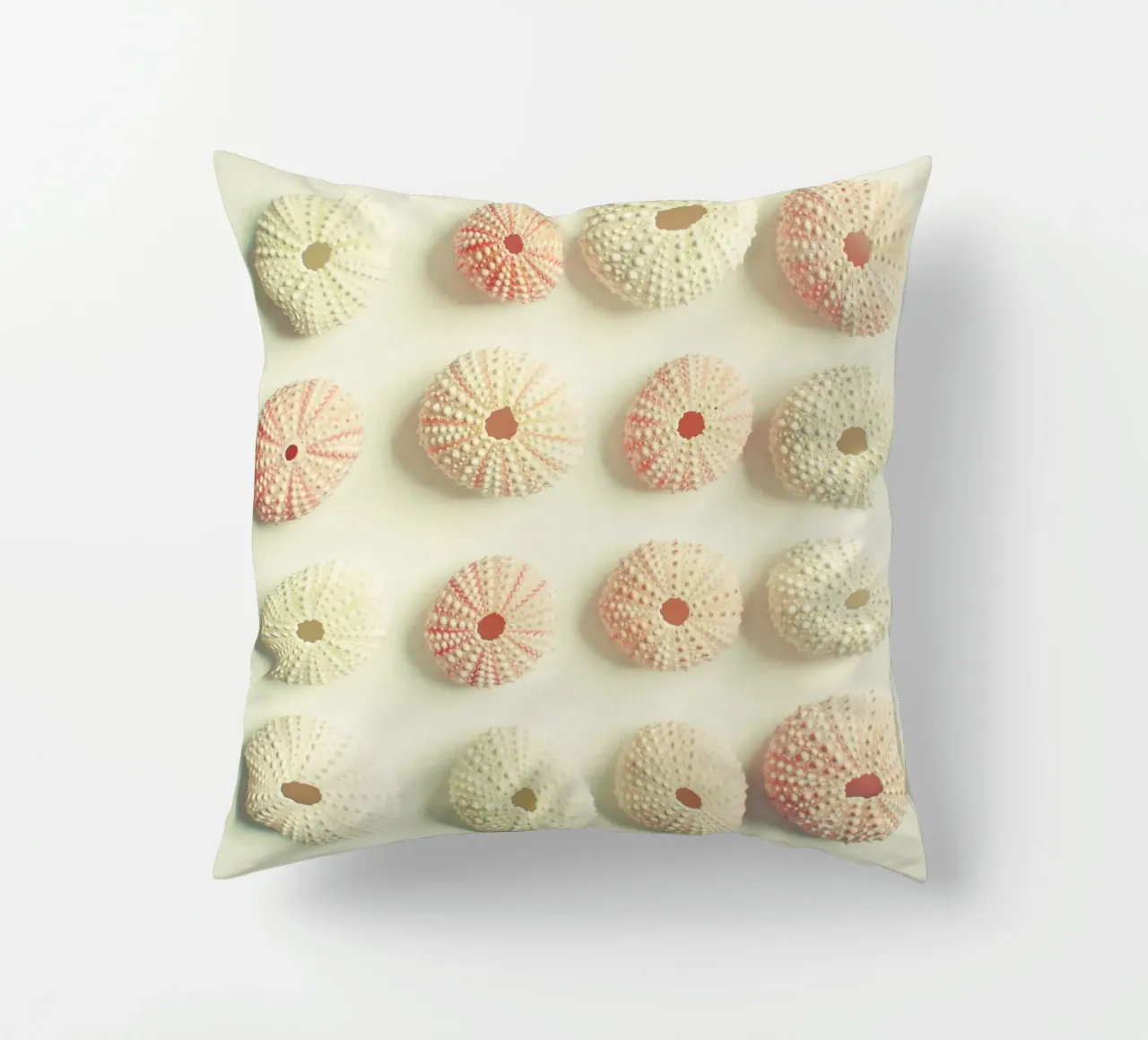 Collezione di ricci di mare cuscino da Cassia Beck Photography