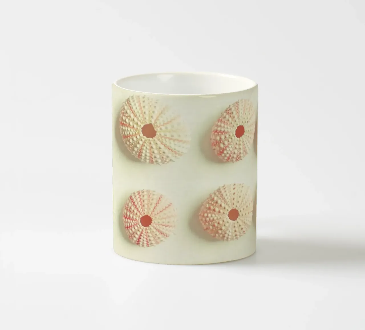 Collezione di ricci di mare tazza in ceramica da Cassia Beck Photography