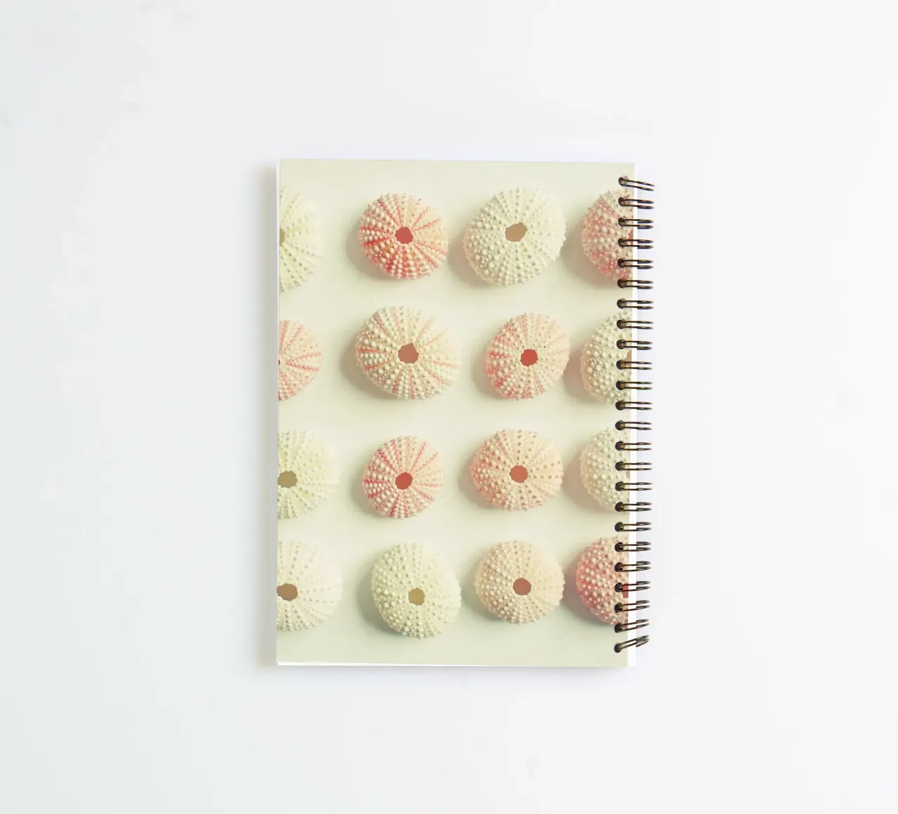Collezione di ricci di mare diario ad anelli da Cassia Beck Photography
