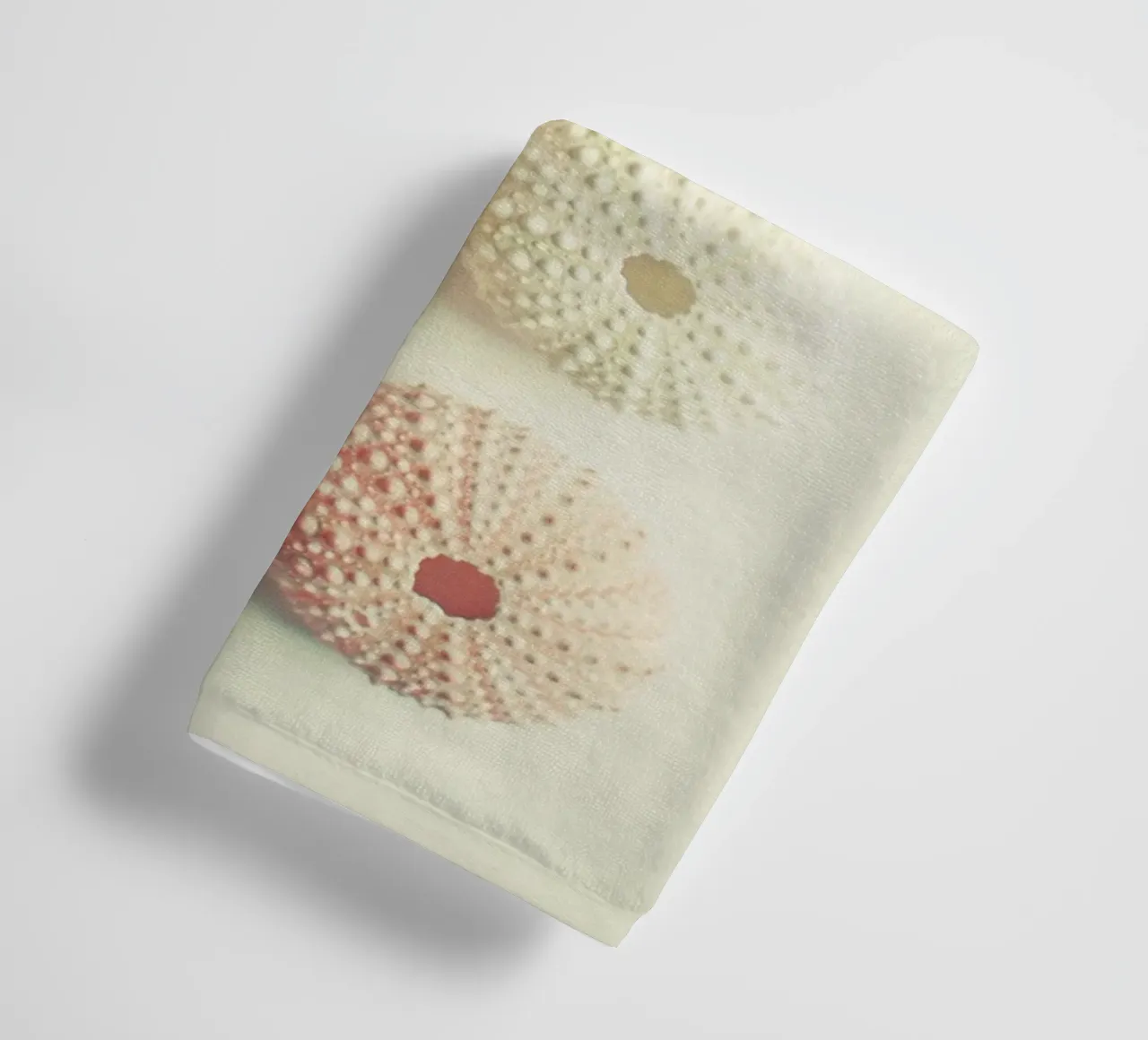 Collezione di ricci di mare asciugamano da bagno da Cassia Beck Photography