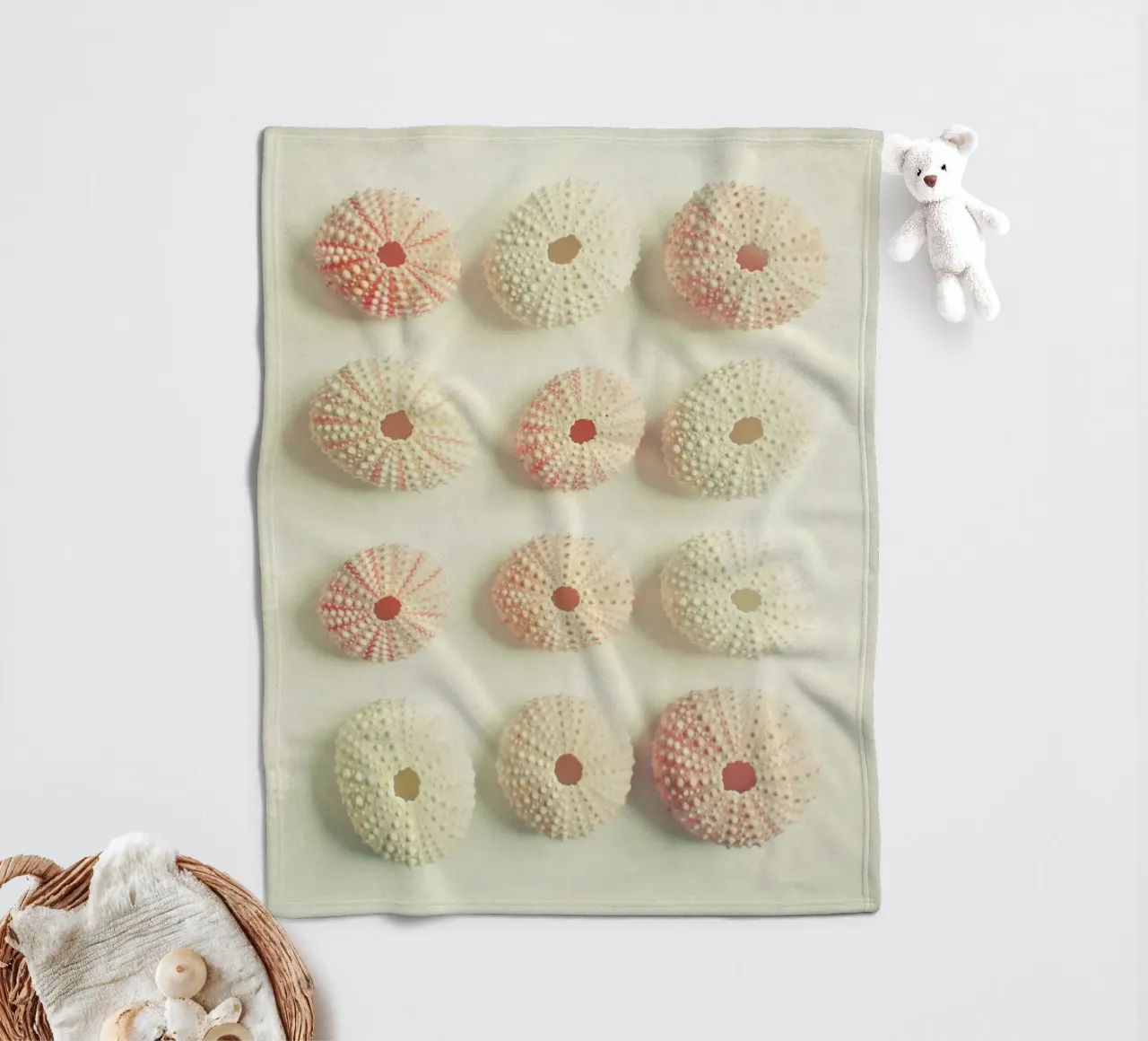 Collezione di ricci di mare coperta in pile da Cassia Beck Photography