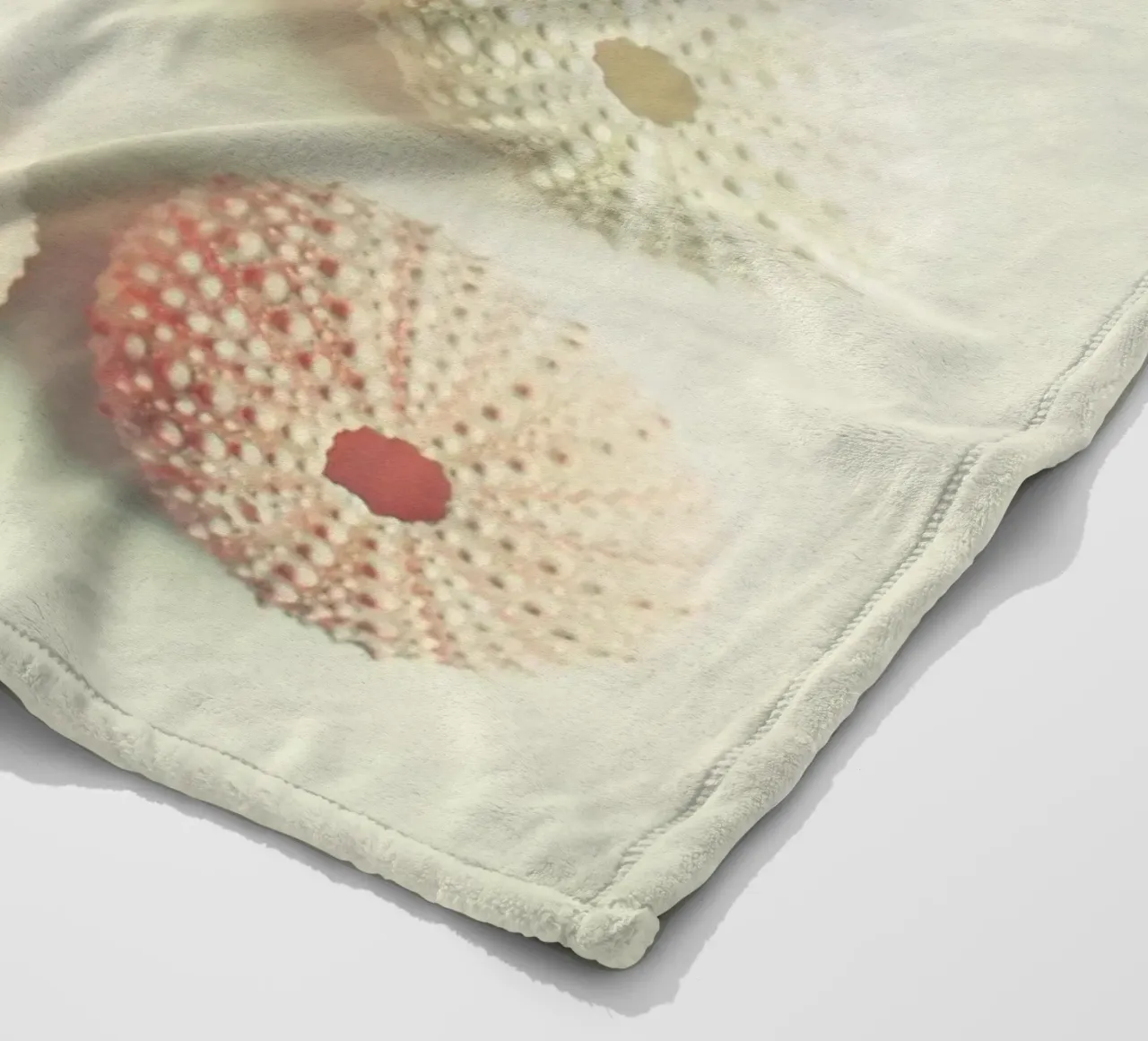 Collezione di ricci di mare coperta in pile da Cassia Beck Photography