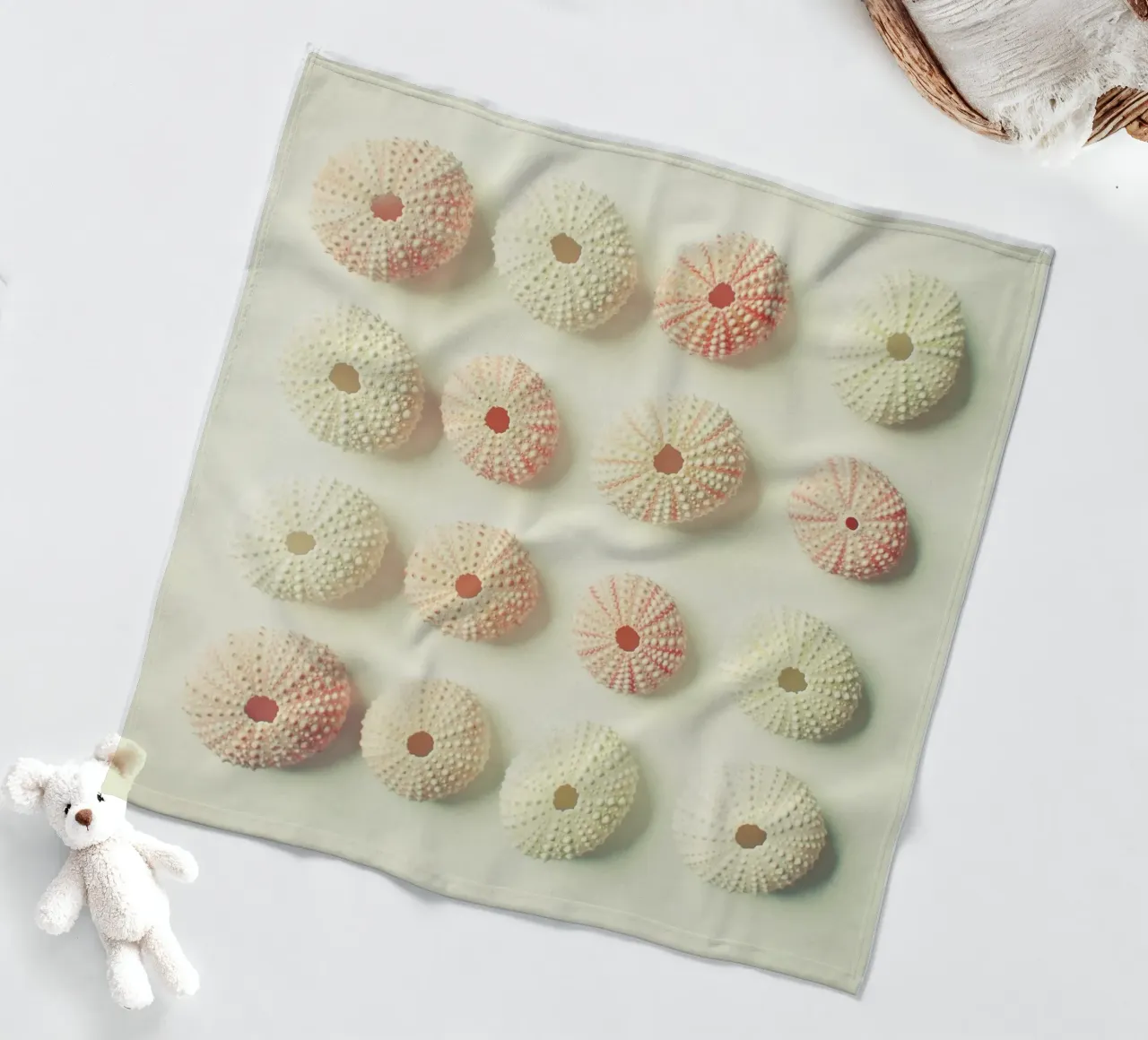 Collezione di ricci di mare coperta in pile da Cassia Beck Photography