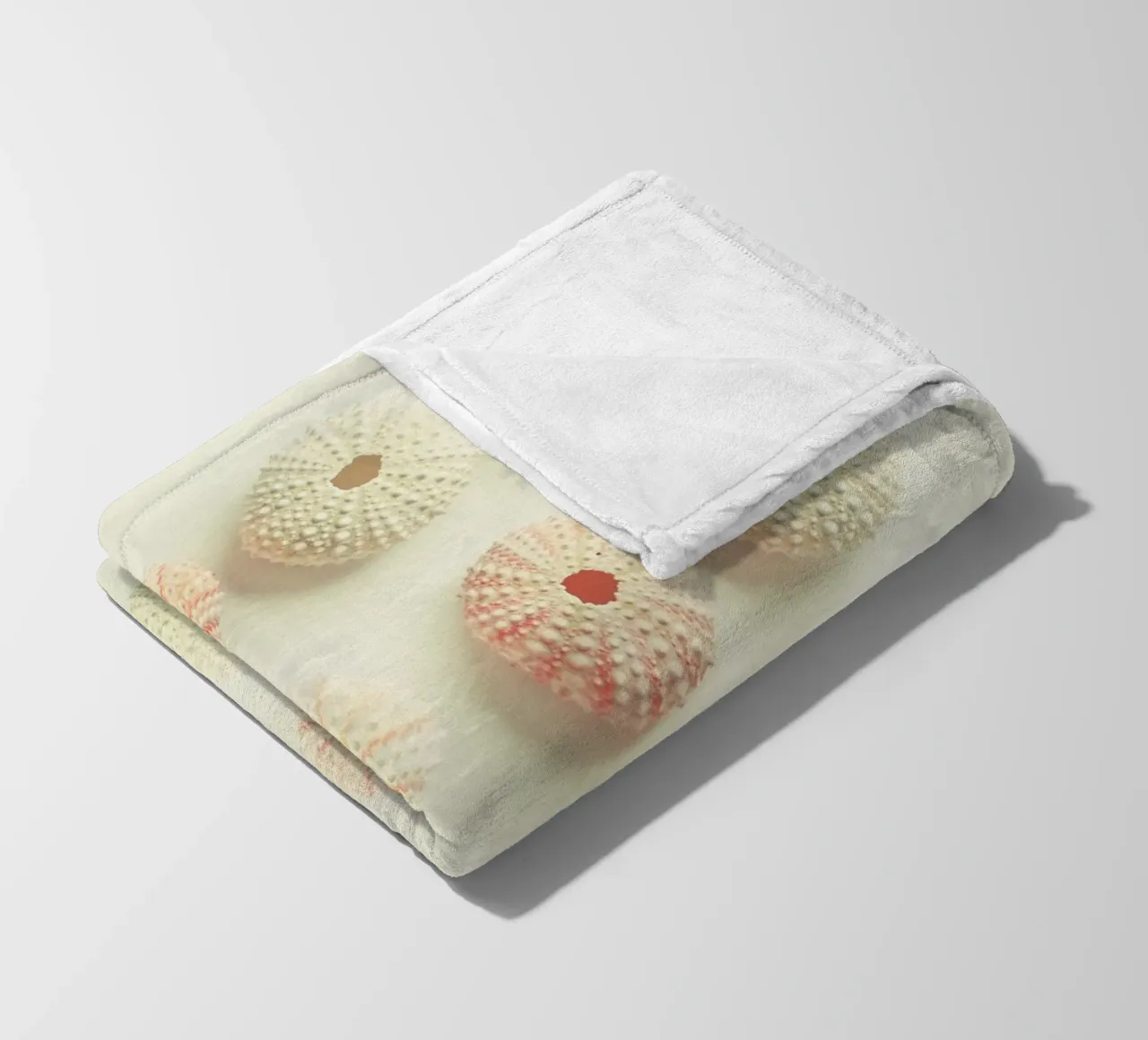 Collezione di ricci di mare coperta in pile da Cassia Beck Photography