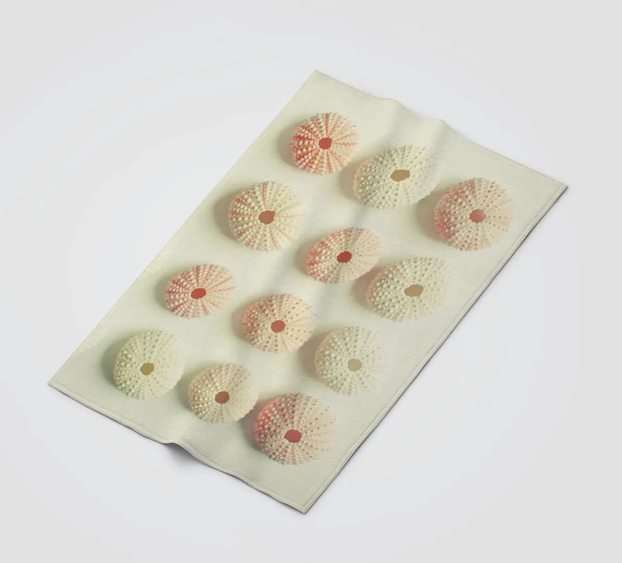 Collezione di ricci di mare coperta in pile da Cassia Beck Photography