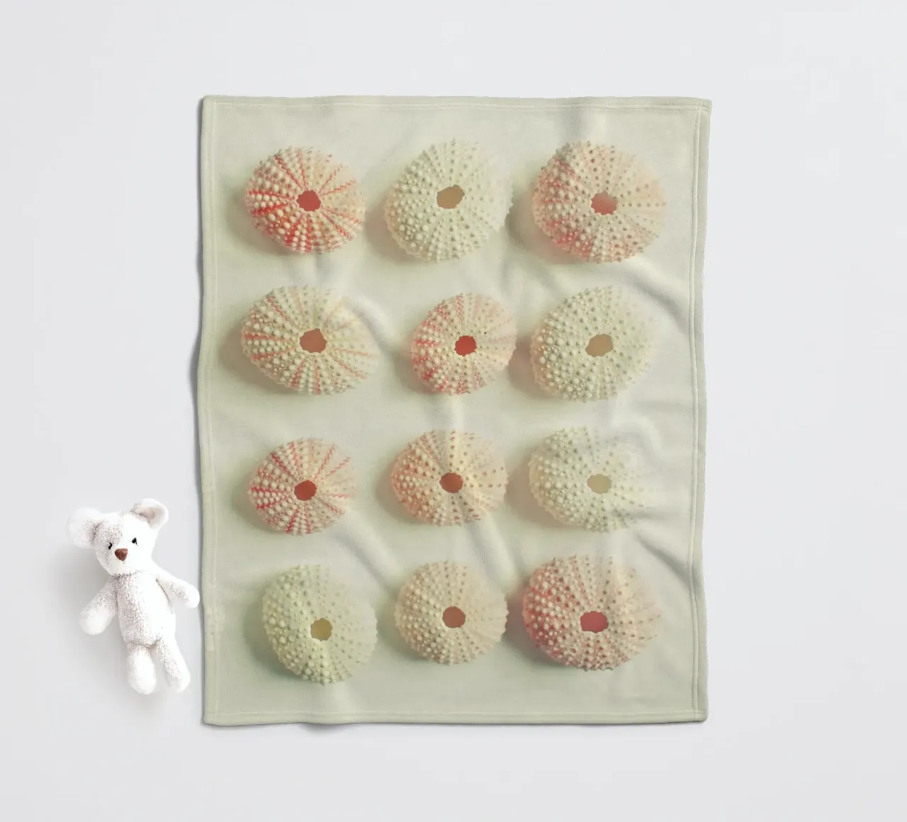 Collezione di ricci di mare coperta in pile da Cassia Beck Photography