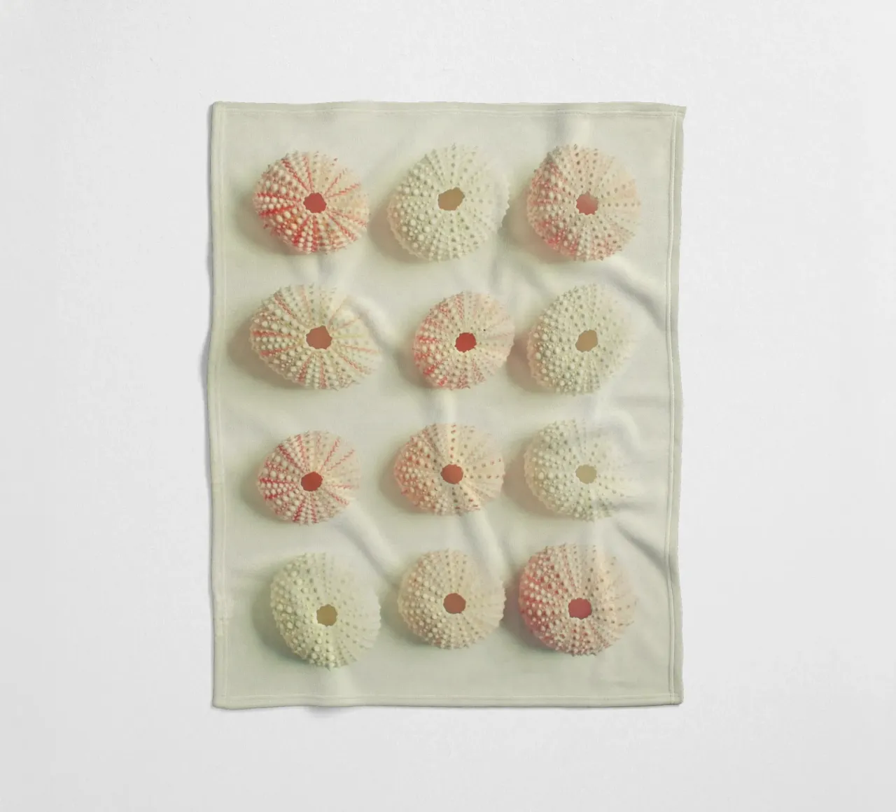 Collezione di ricci di mare coperta in pile da Cassia Beck Photography