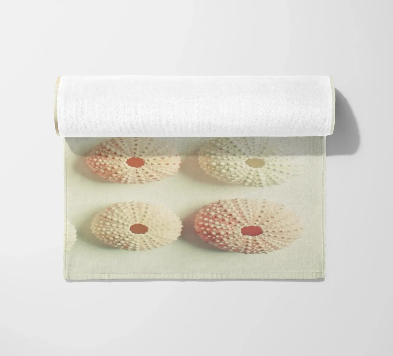Collezione di ricci di mare telo mare da Cassia Beck Photography