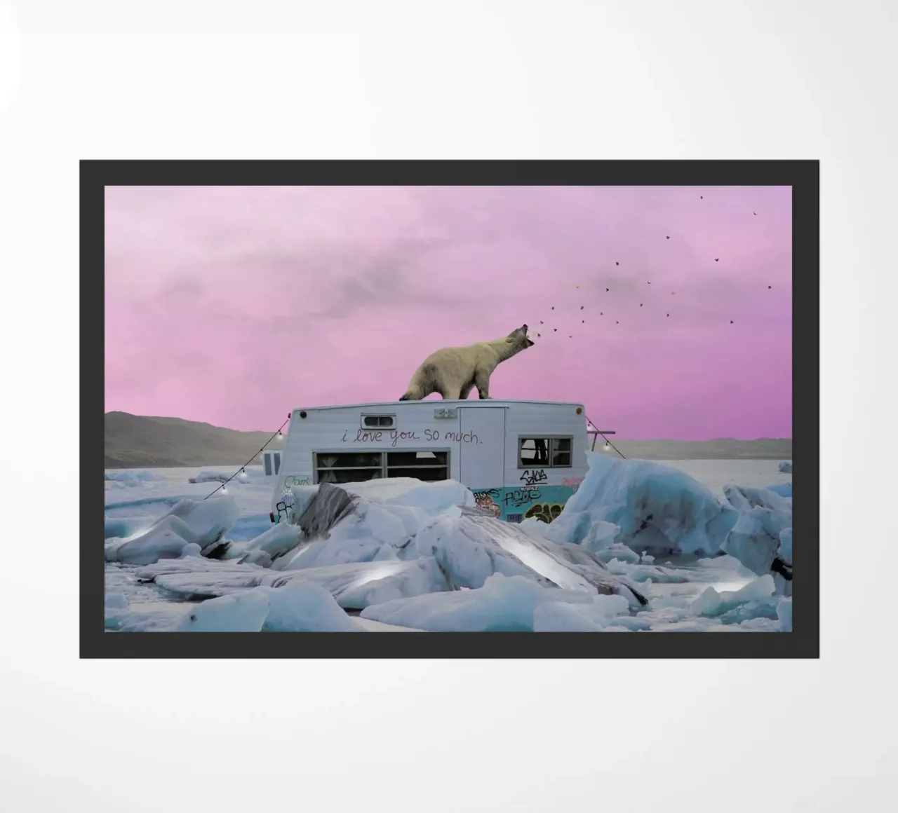 Breaking the Ice zerbino da Jason Brueck