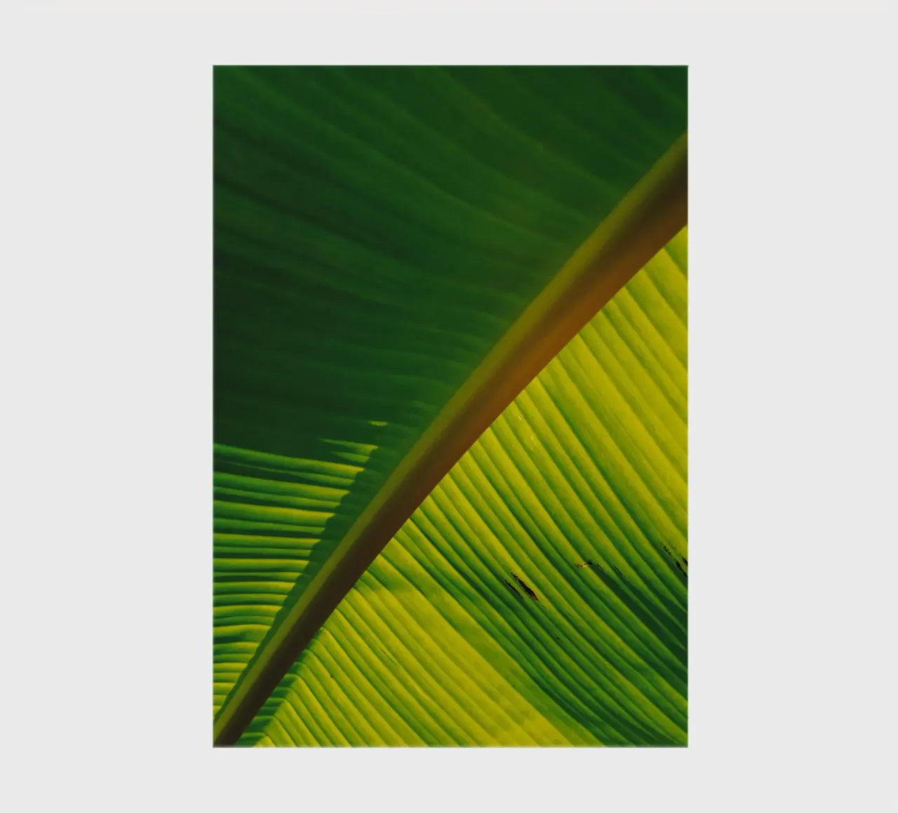 Green leaves notebook by LisaArtes