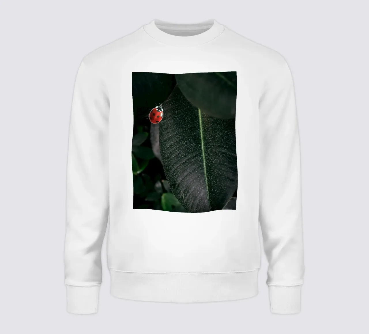 Red ladybug sweatshirt van LisaArtes