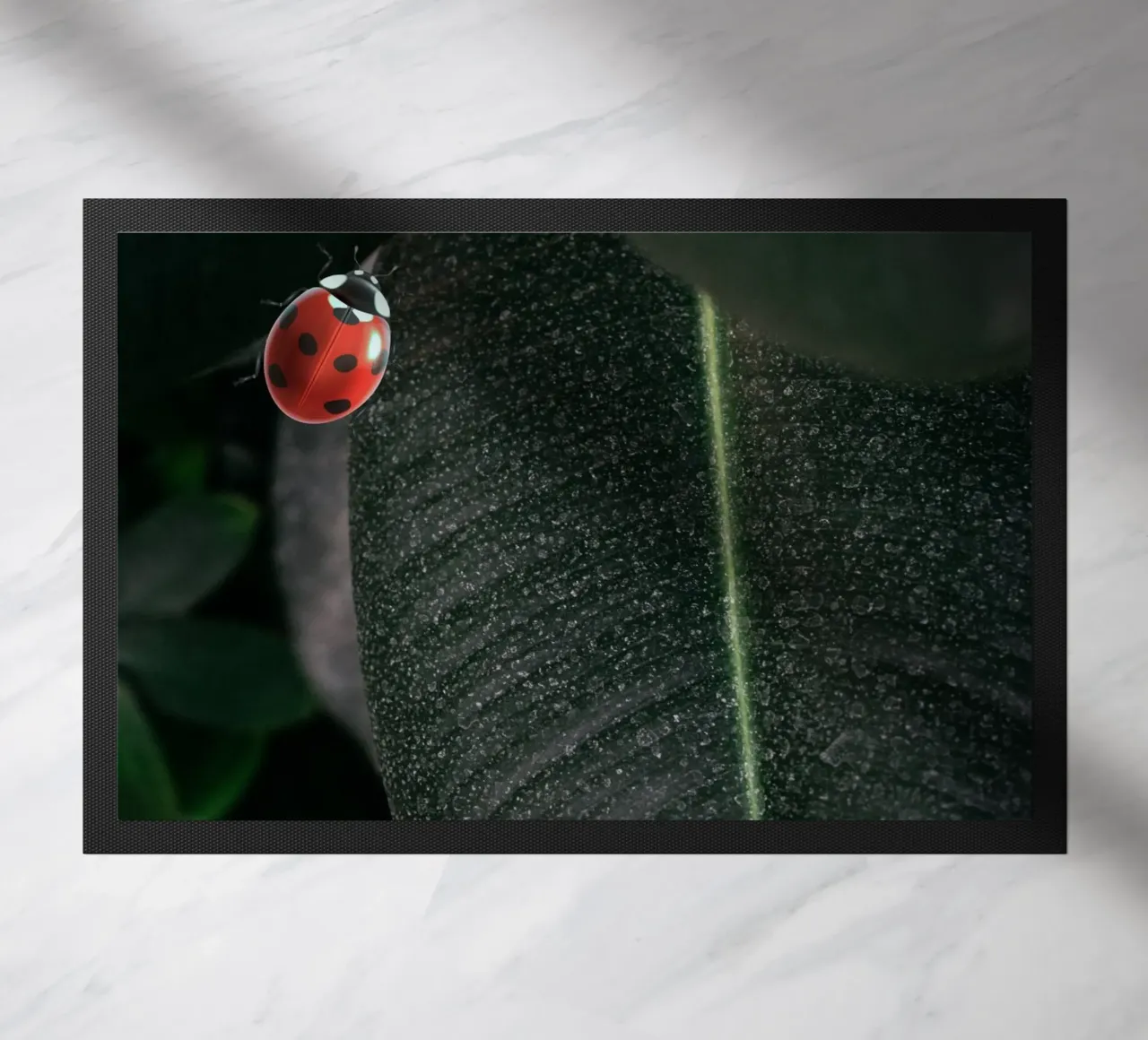 Red ladybug zerbino da LisaArtes