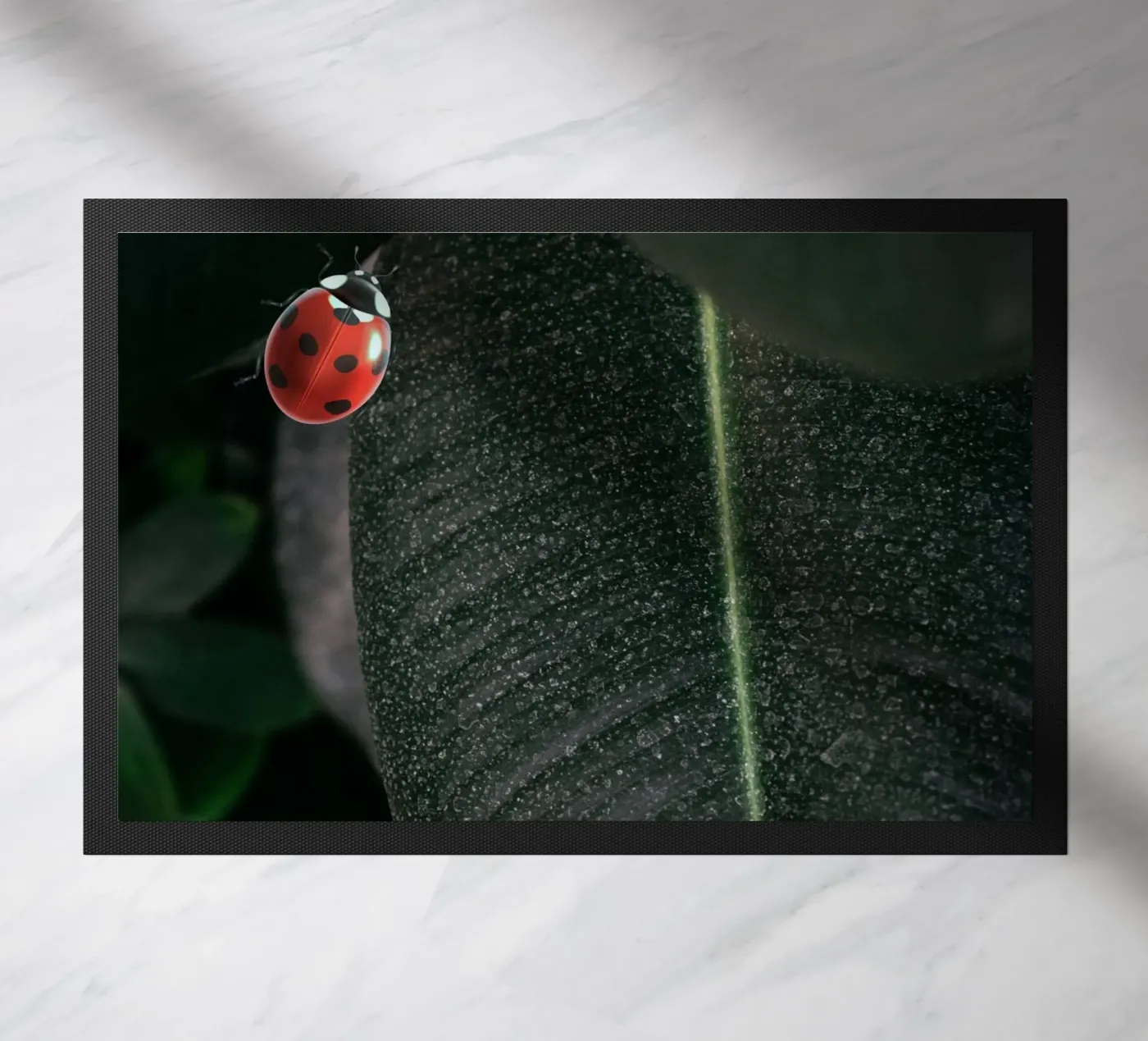 Red ladybug zerbino da LisaArtes