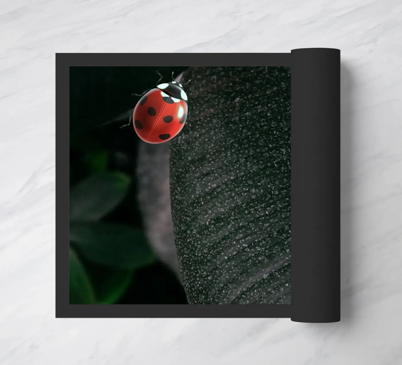 Red ladybug zerbino da LisaArtes