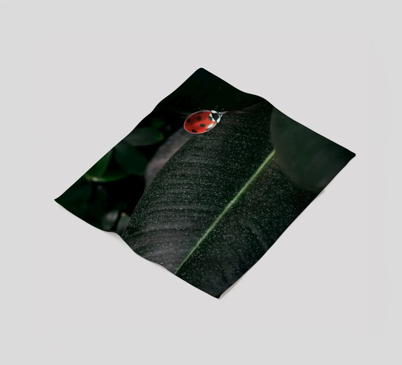 Red ladybug coperta in pile da LisaArtes