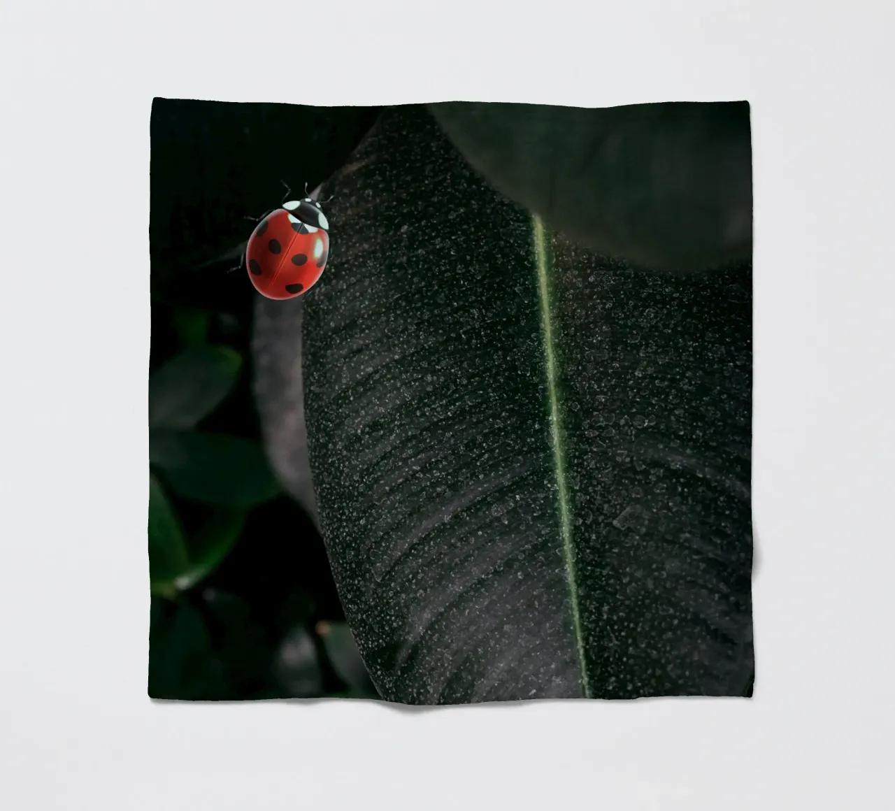 Red ladybug coperta in pile da LisaArtes