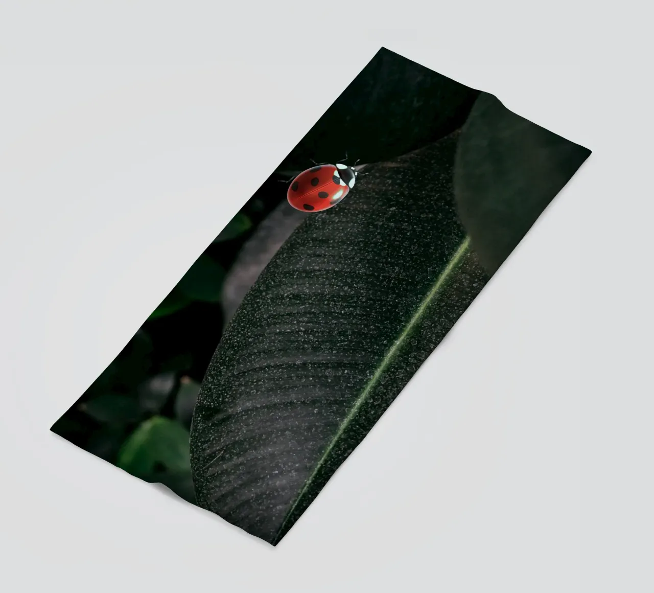 Red ladybug telo mare da LisaArtes
