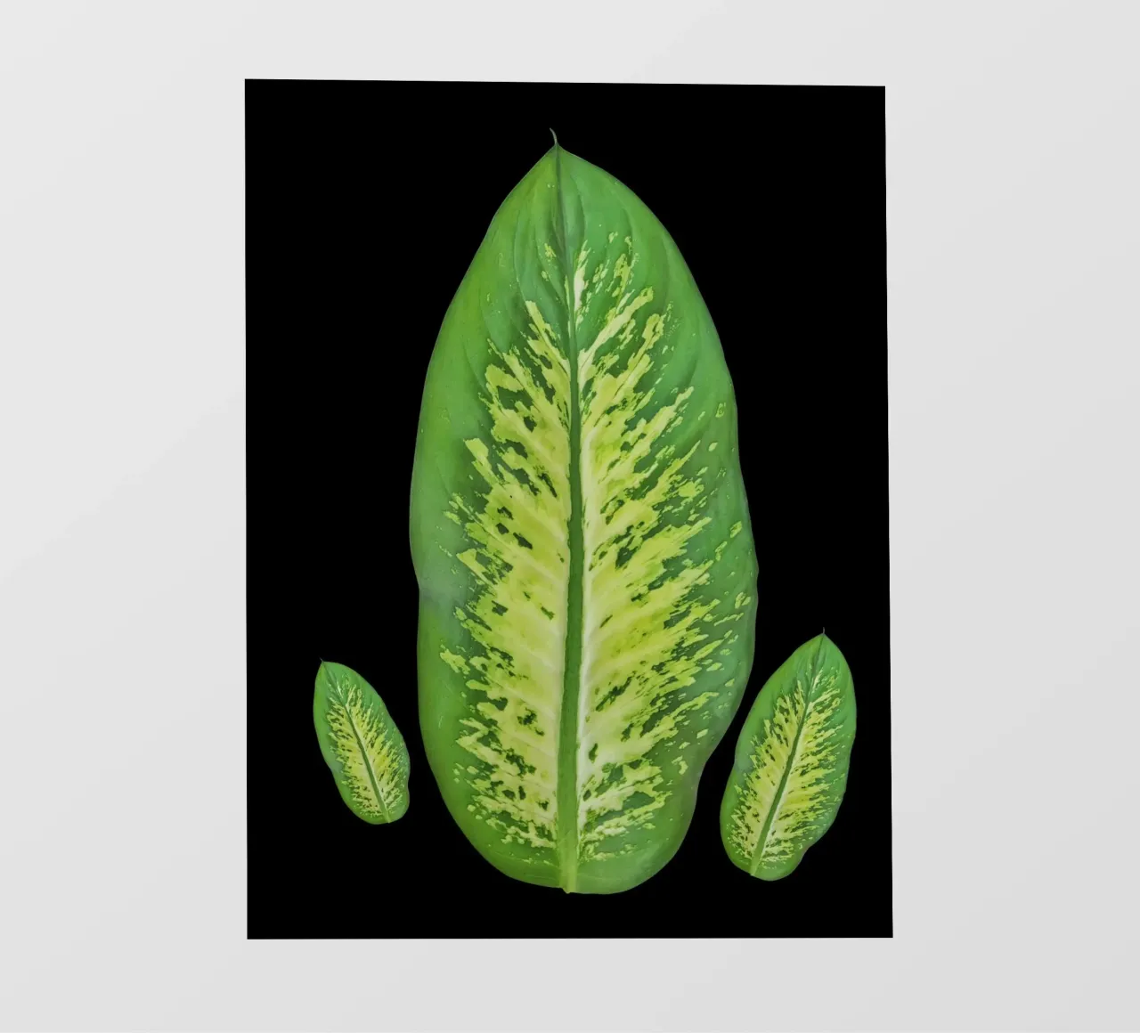 Large green leaf telo in pvc da LisaArtes