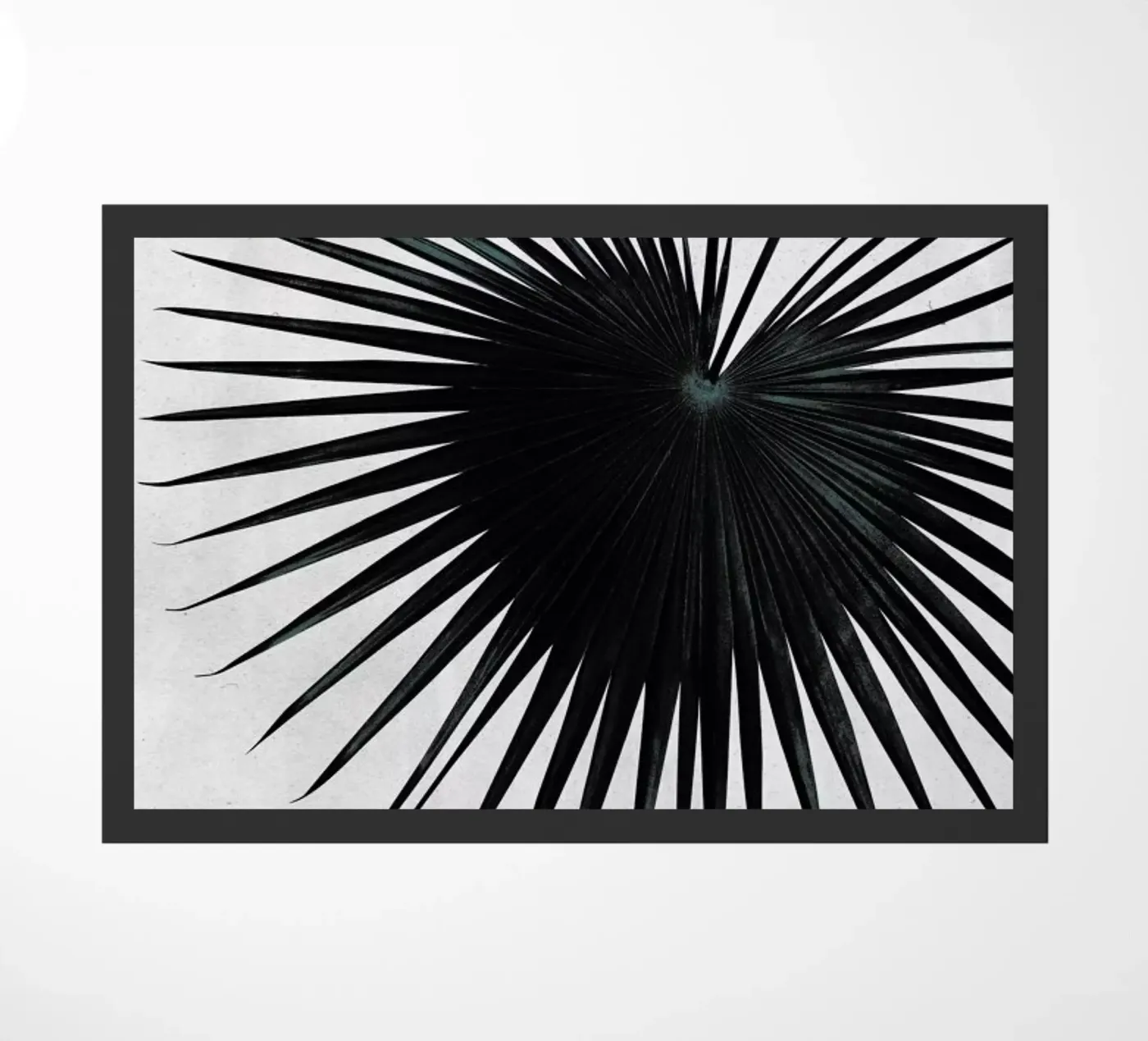 Feel zerbino da STUDIO LEEMO