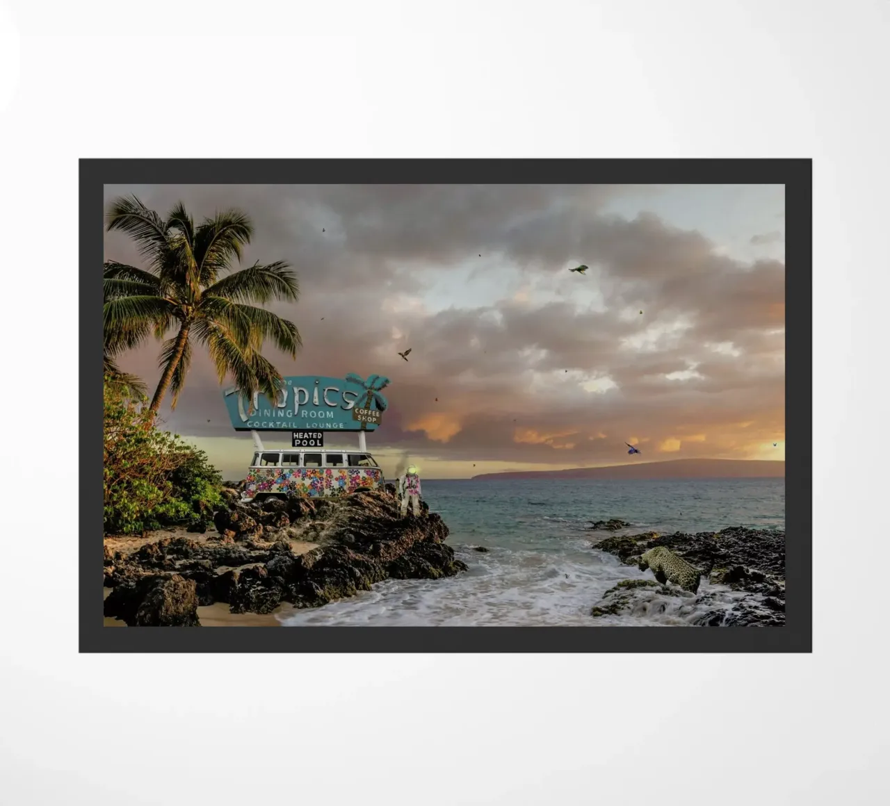 Tropical Compression zerbino da Jason Brueck