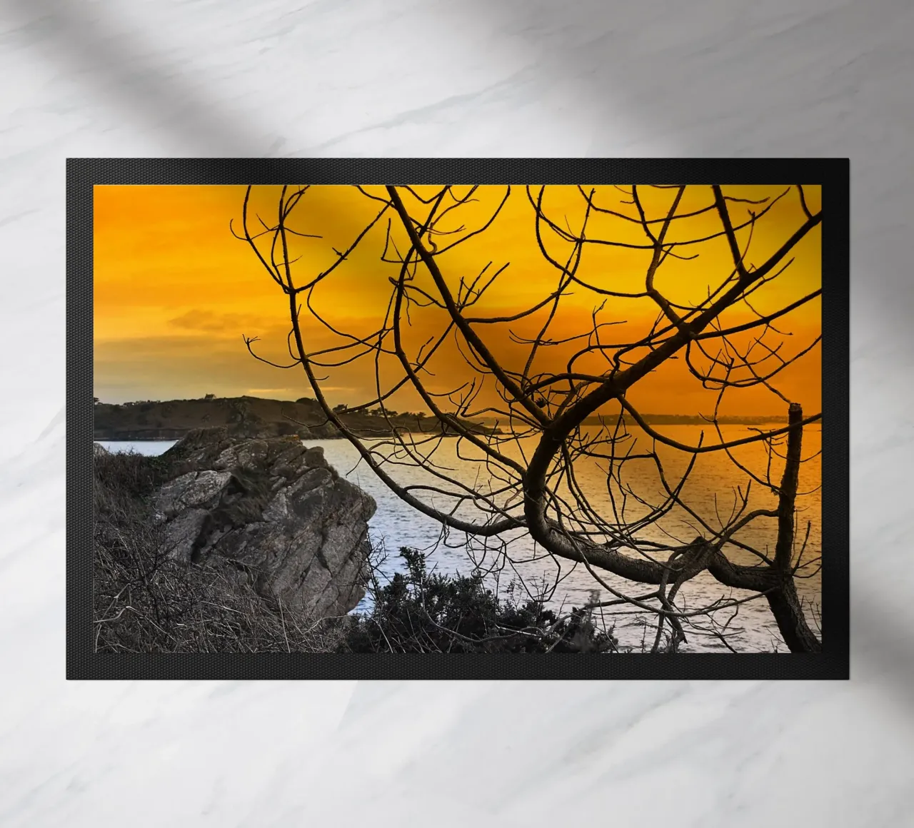 FAA206 zerbino da Thierry vobmann photography