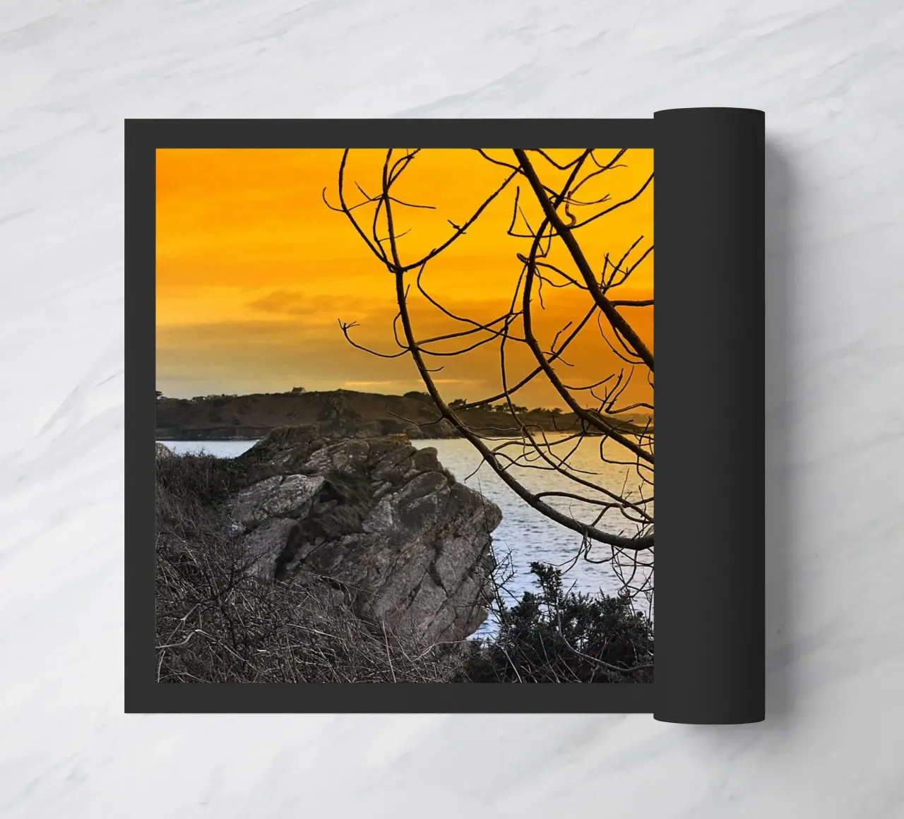 FAA206 zerbino da Thierry vobmann photography