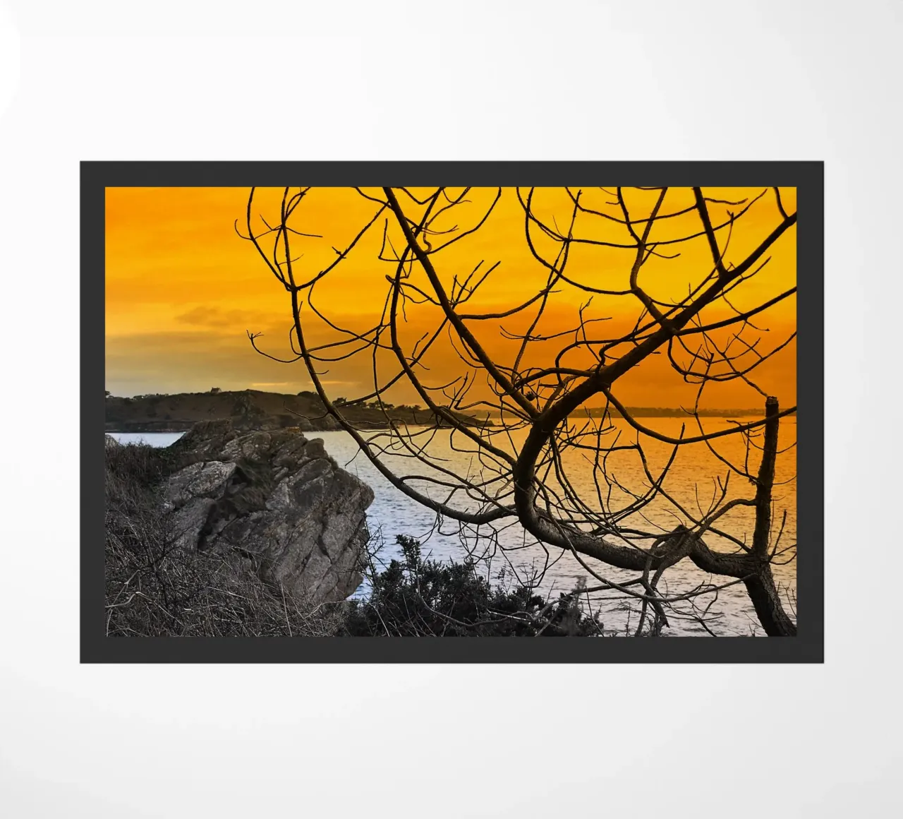 FAA206 zerbino da Thierry vobmann photography