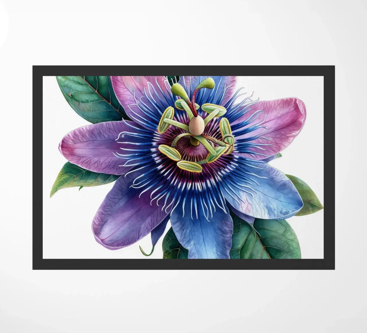 Passiflora 2 zerbino da Bold Blooms