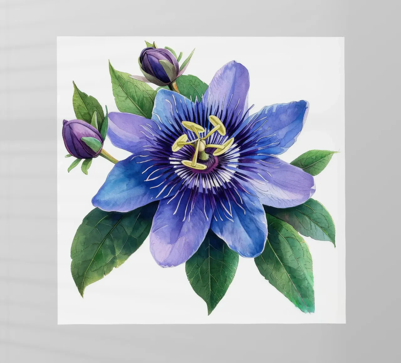 Passiflora 3 pellicola backlit da Bold Blooms