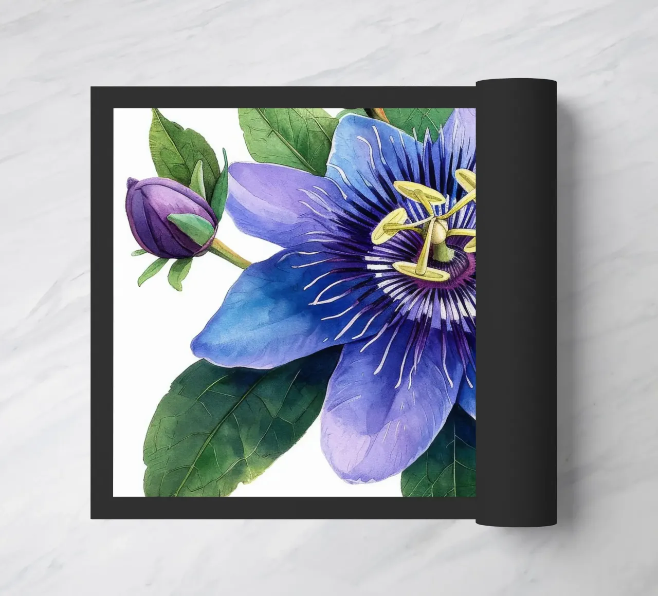 Passiflora 3 zerbino da Bold Blooms