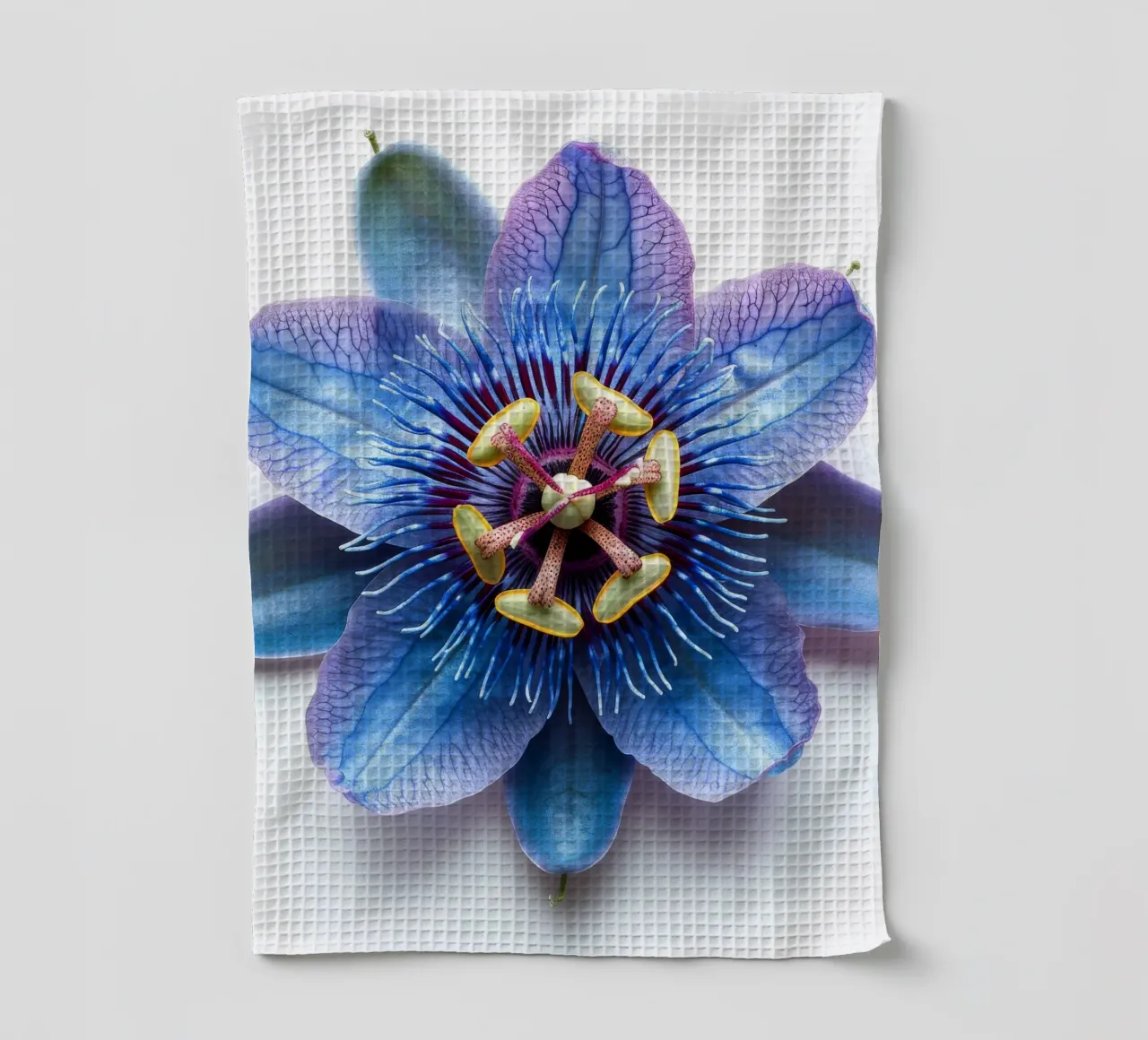 Passiflora 4 canovaccio da cucina da Bold Blooms