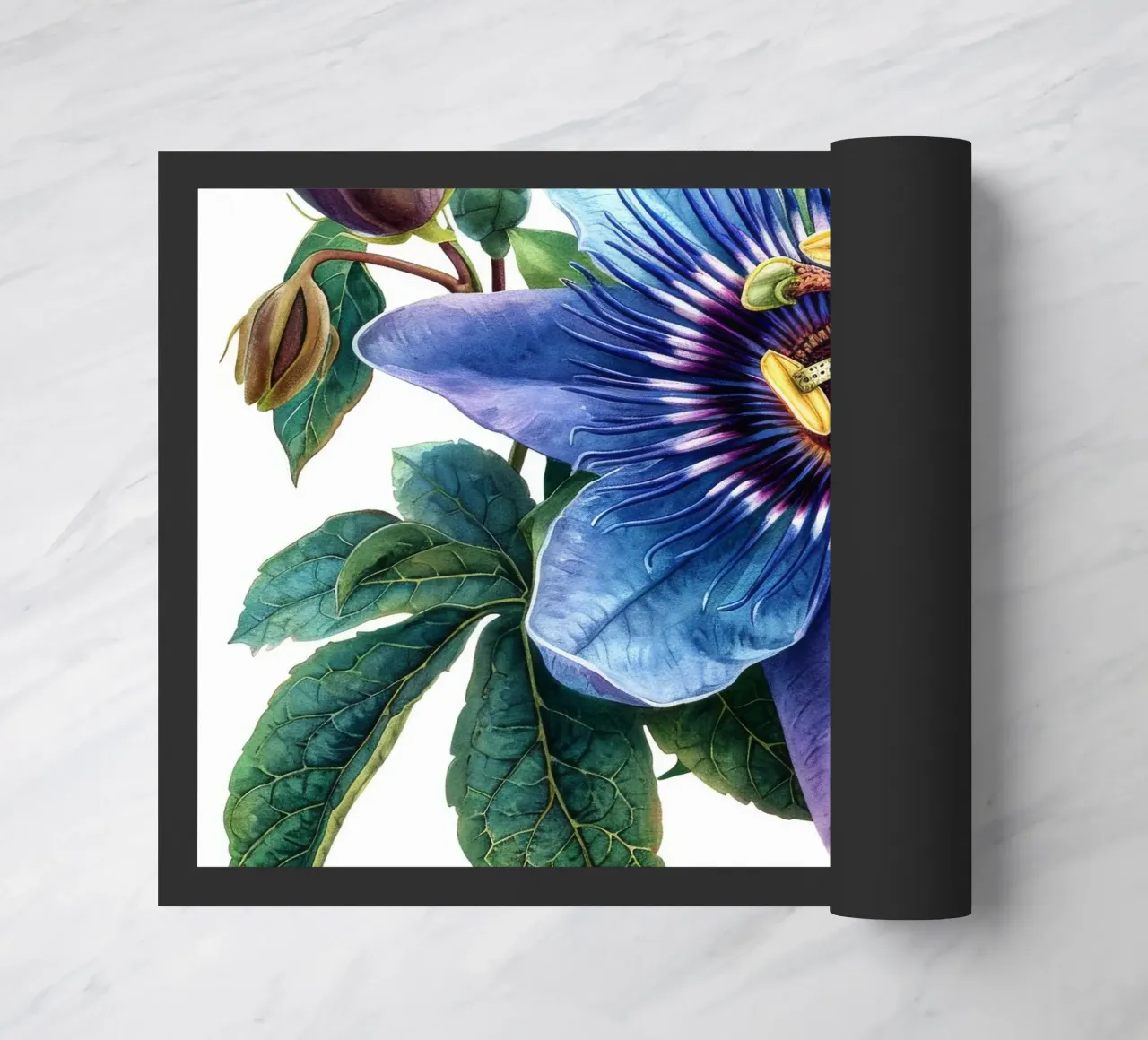 Passiflora 1 zerbino da Bold Blooms